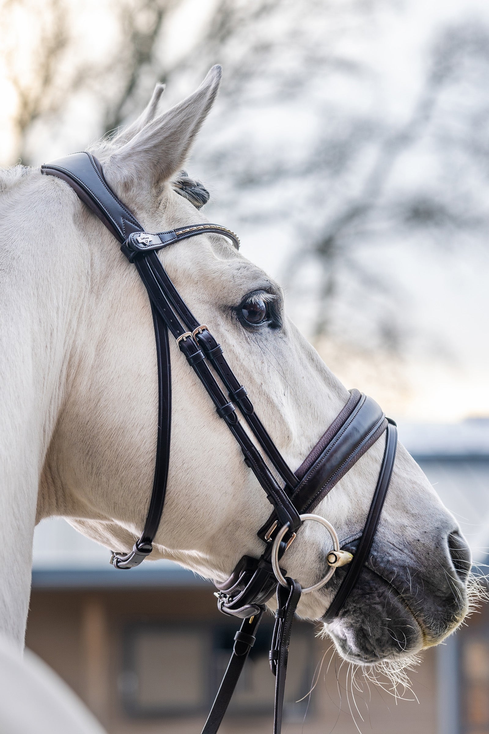 LeMieux Kudos Classic Dressage Bridle Bridles & Reins
