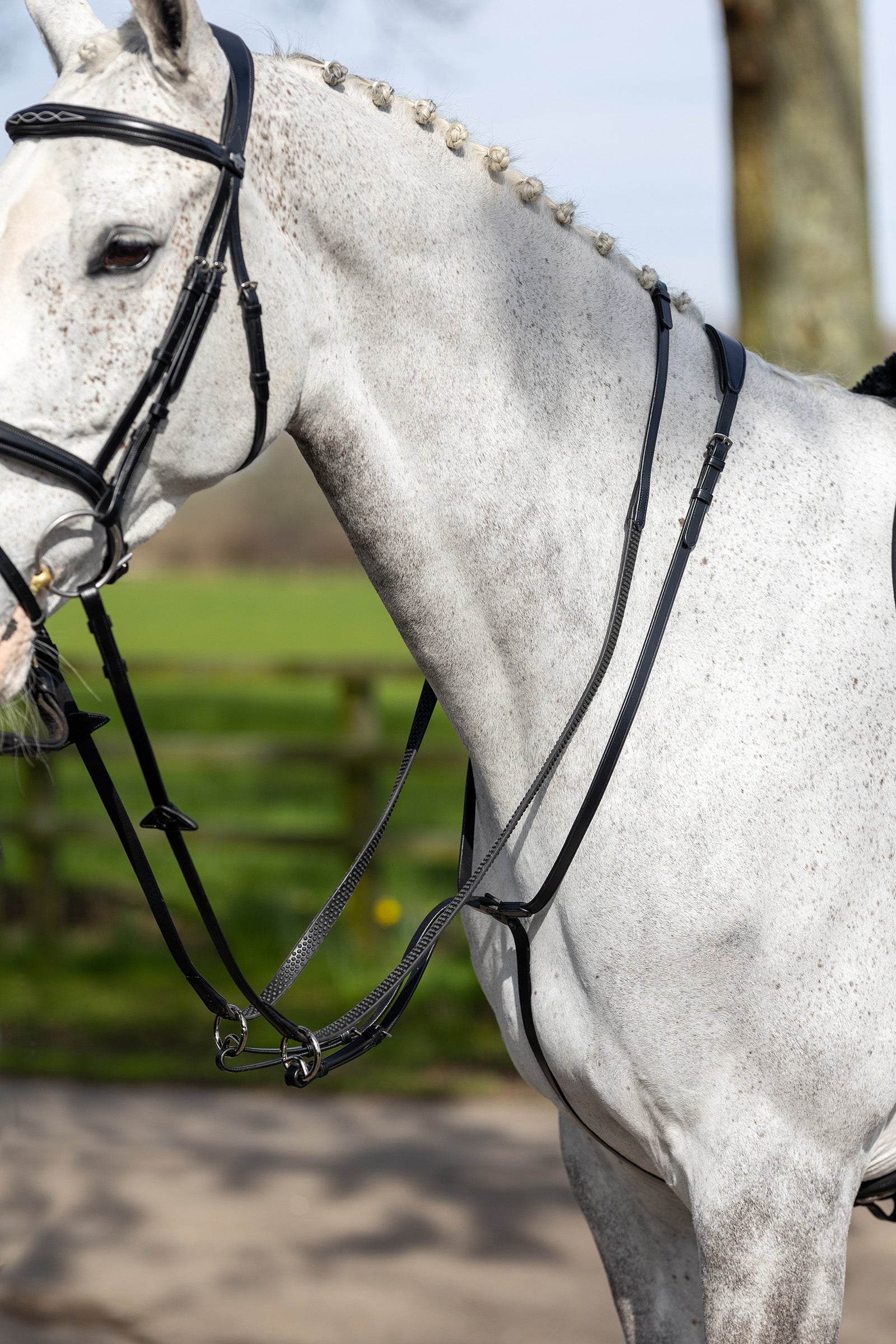 LeMieux Ringmartingal Trensenzäume & Zügel
