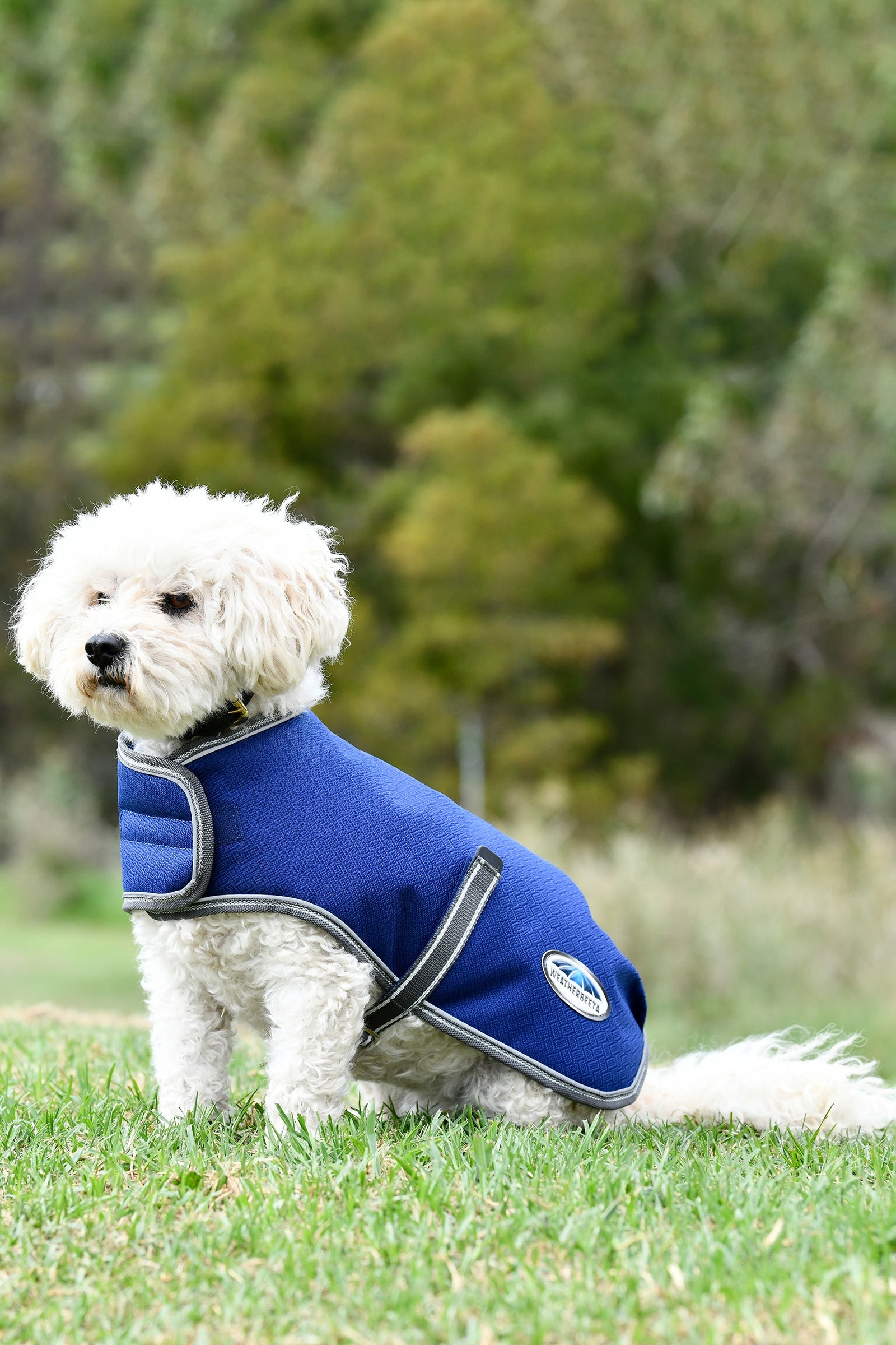 Weatherbeeta Comfitec Premier Free Parka Hundemantel Medium, 220g Hund