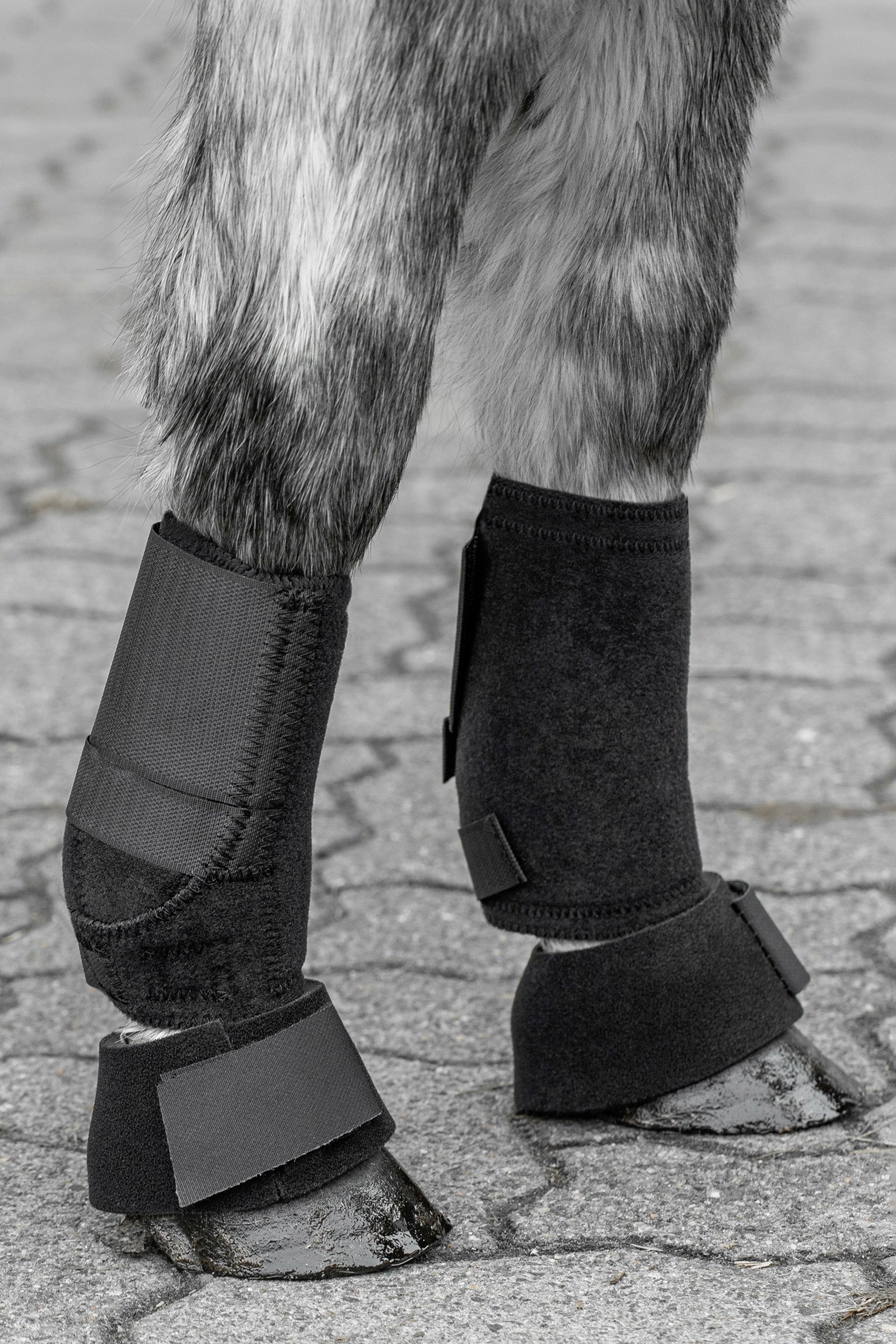 USG Shetty Fesselkopfgamaschen Leg Protection & Hoof Protection for Horses