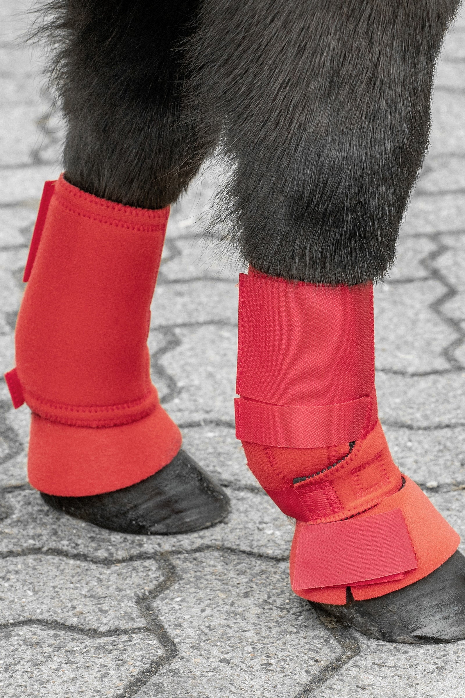 USG Shetty Fesselkopfgamaschen Leg Protection & Hoof Protection for Horses