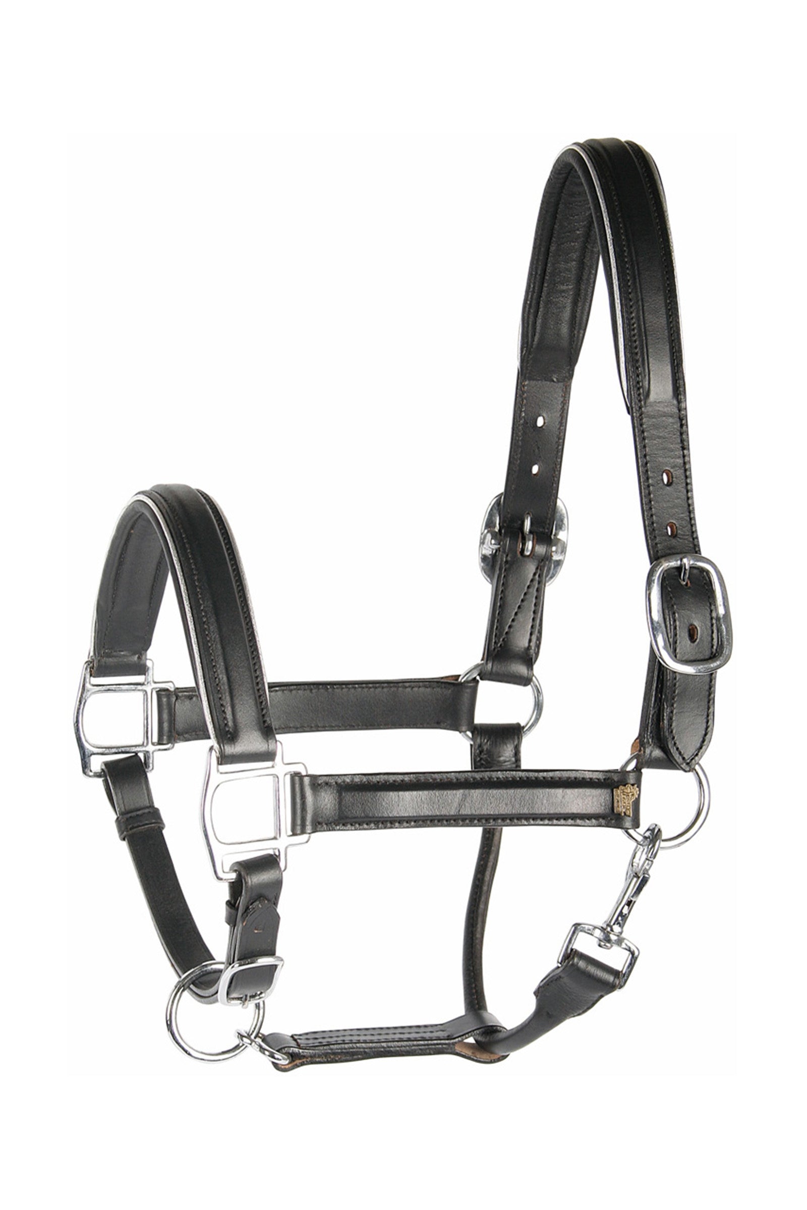 Harry's Horse Lederhalfter mit Paspel Halfter & Stricke