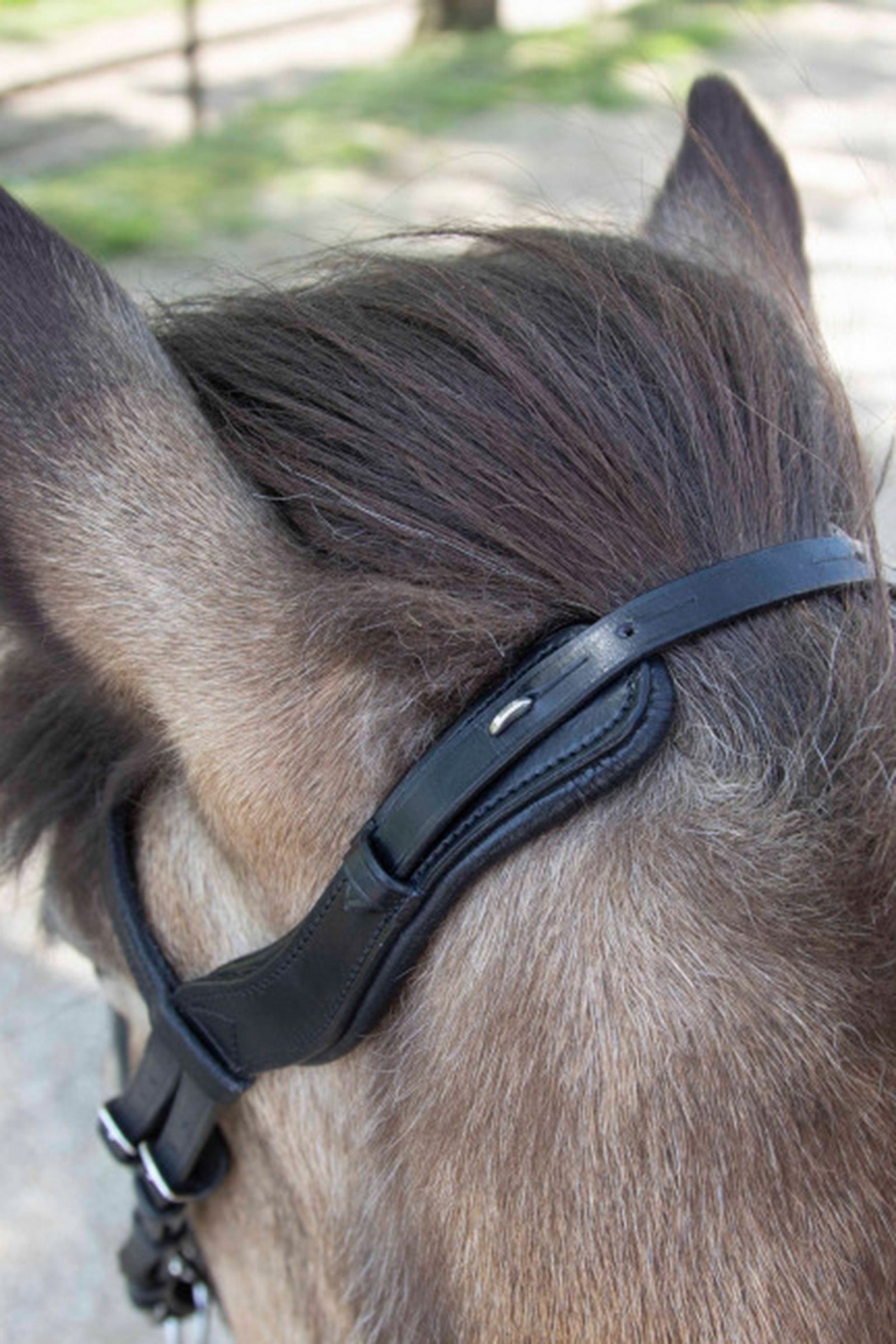 Waldhausen Anatomical Icelandic Bridle Bridles & Reins