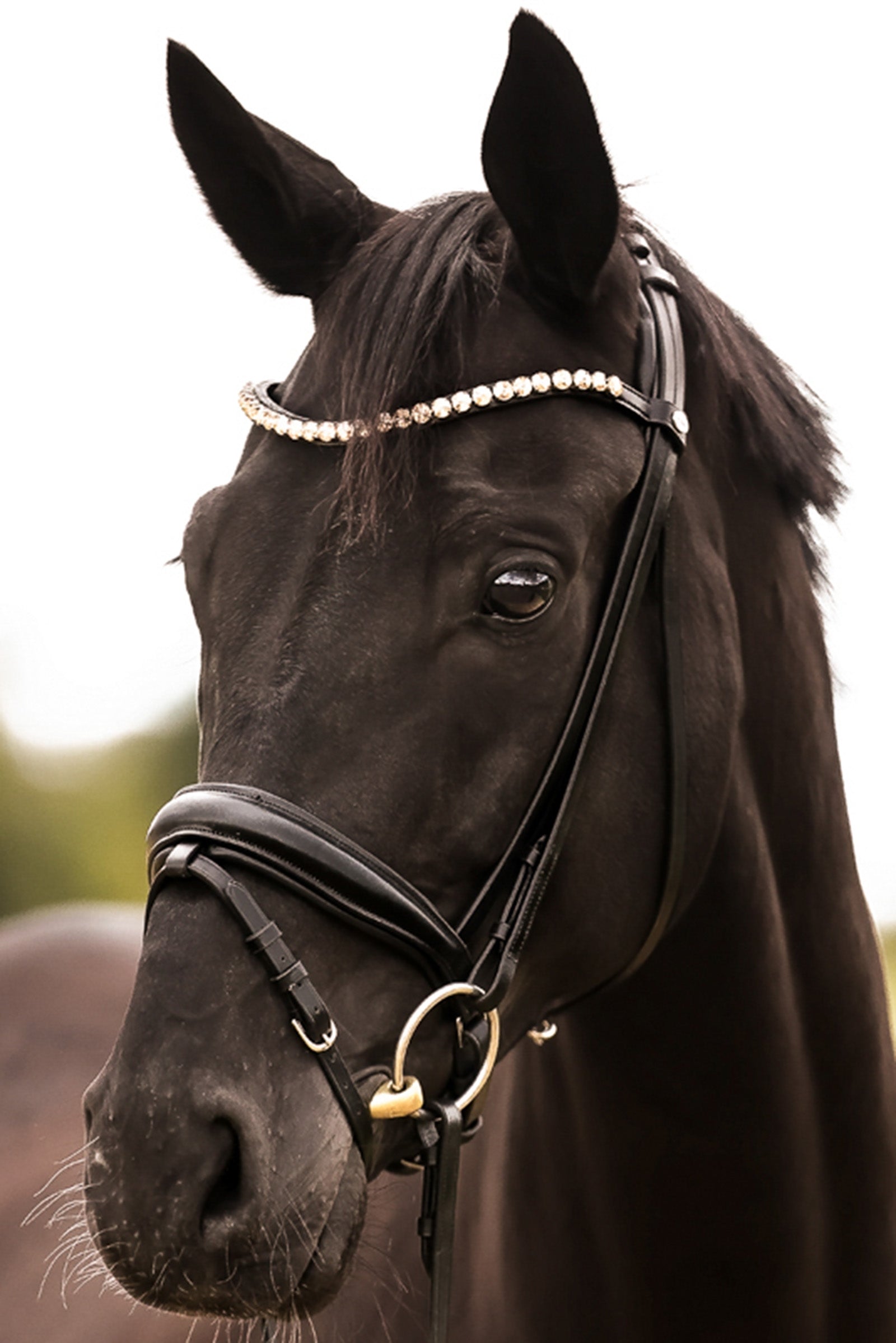 Kavalkade Fortuna KavalSH4 Trense Trensenzäume & Zügel