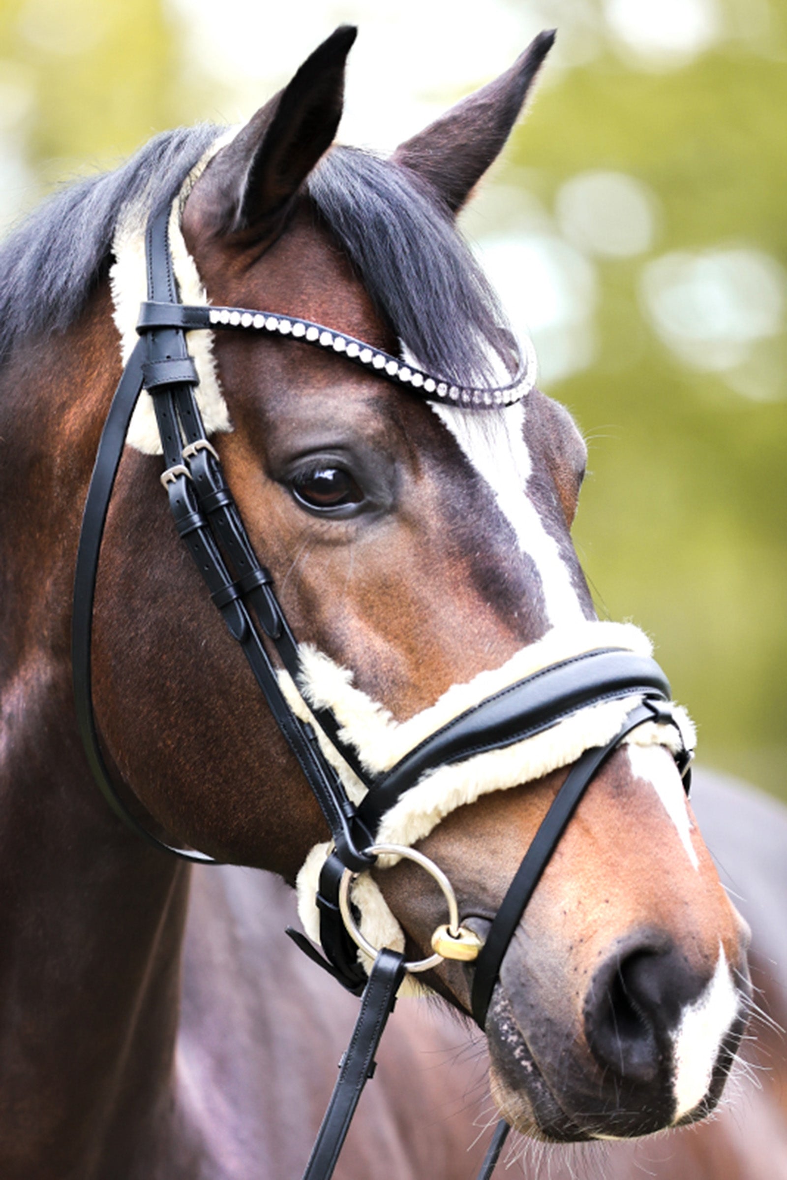 Kavalkade Joyce KavalSH4 Trense Trensenzäume & Zügel