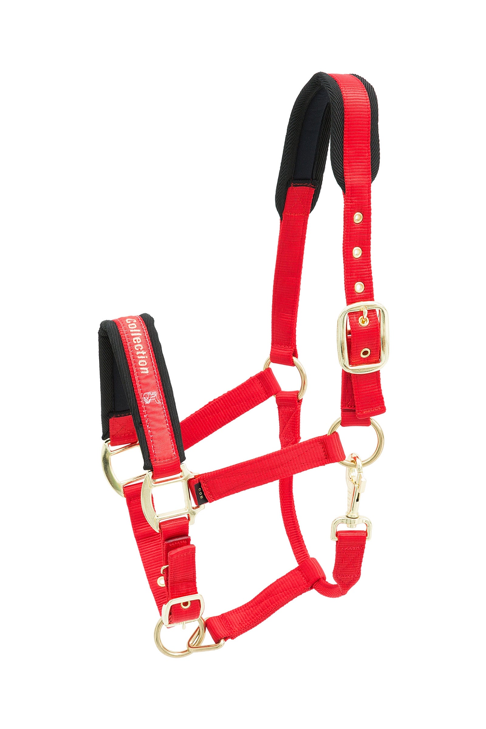 Kieffer Collection Nylon-Stallhalfter Halfter & Stricke