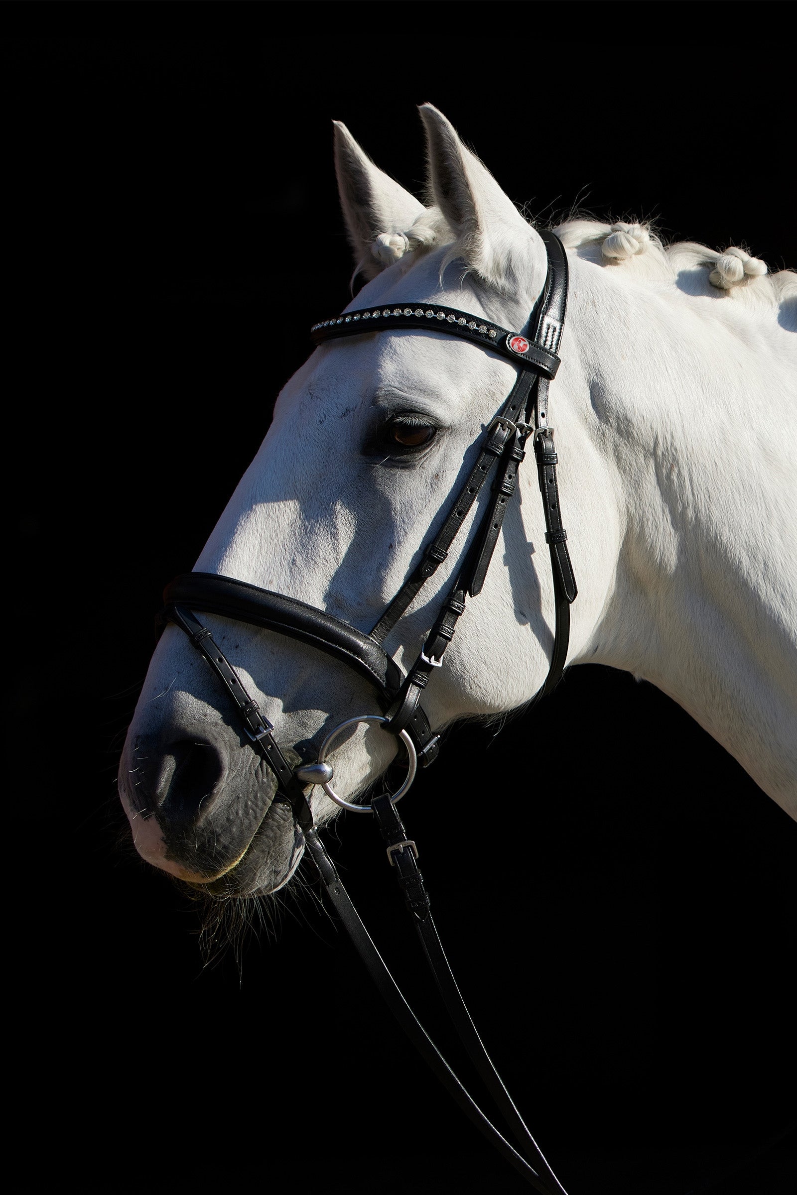 Kieffer Ultrasoft® FlexiStyle Bridle Bridles & Reins