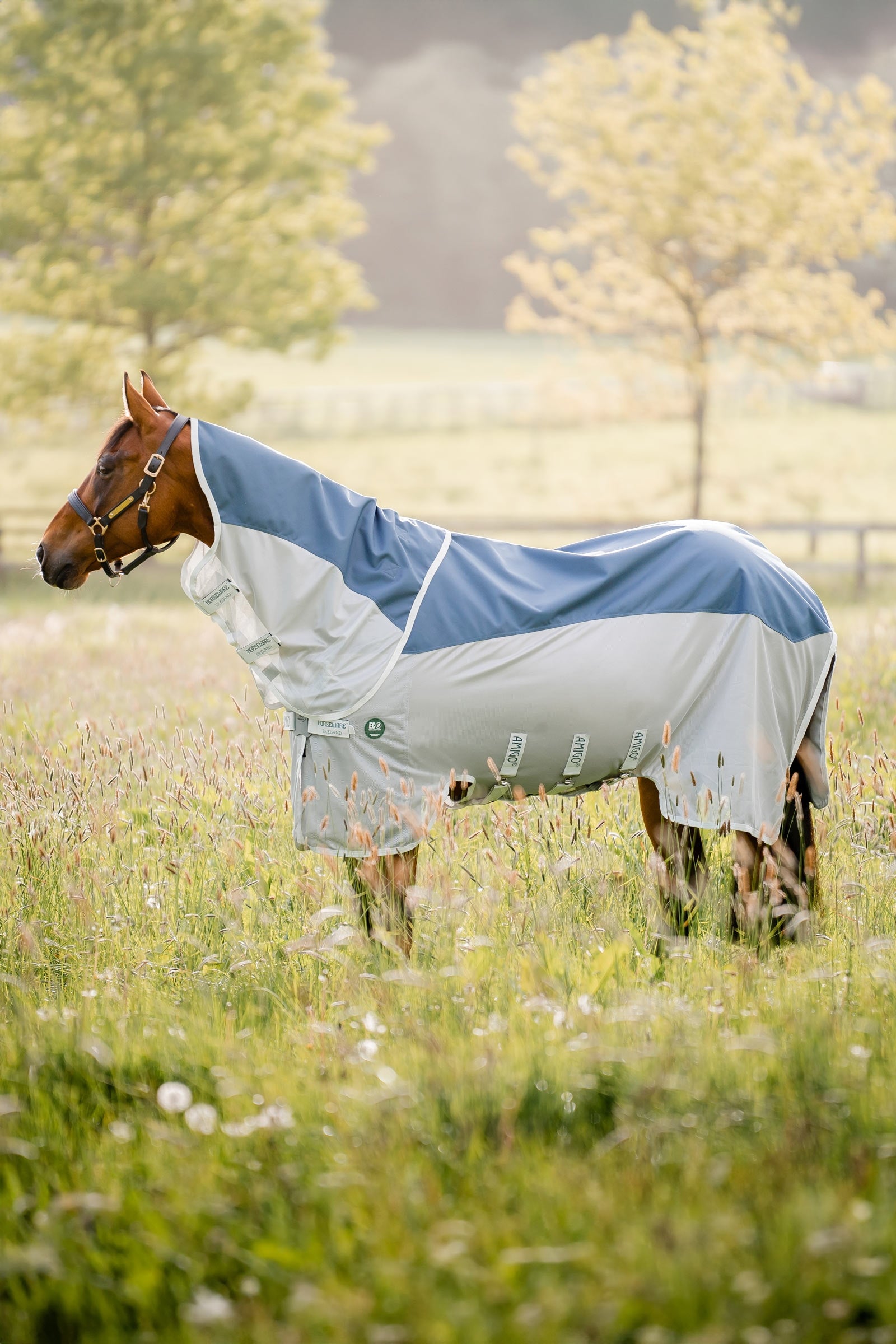 Horseware Amigo AmEco Combi Fliegendecke Pferdedecken