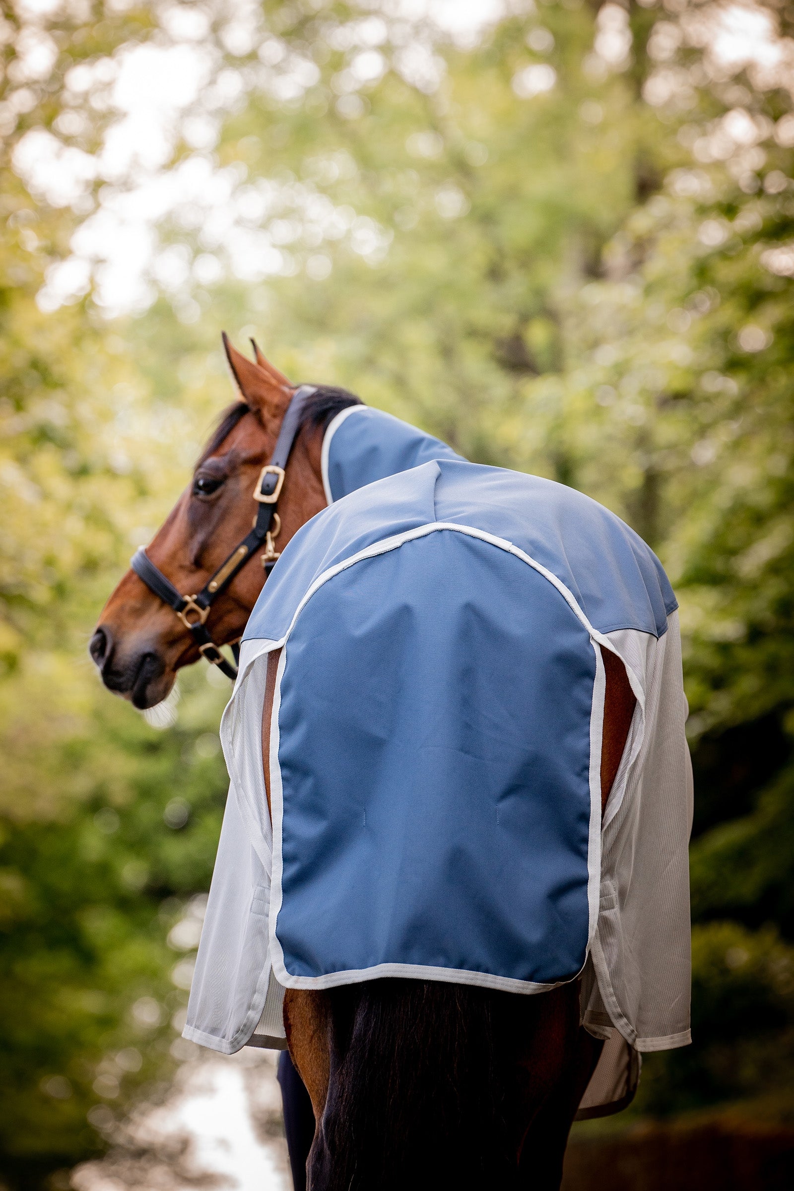 Horseware Amigo AmEco Combi Fly Rug Horse Rugs