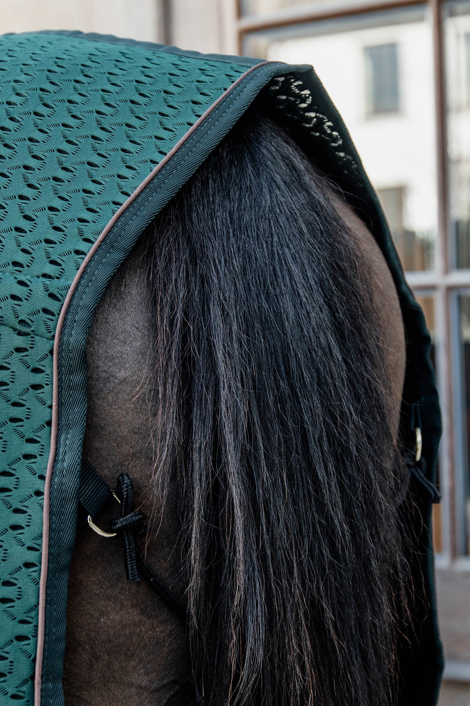 Kentucky Horsewear 4D Spacer Cooler Horse Rugs