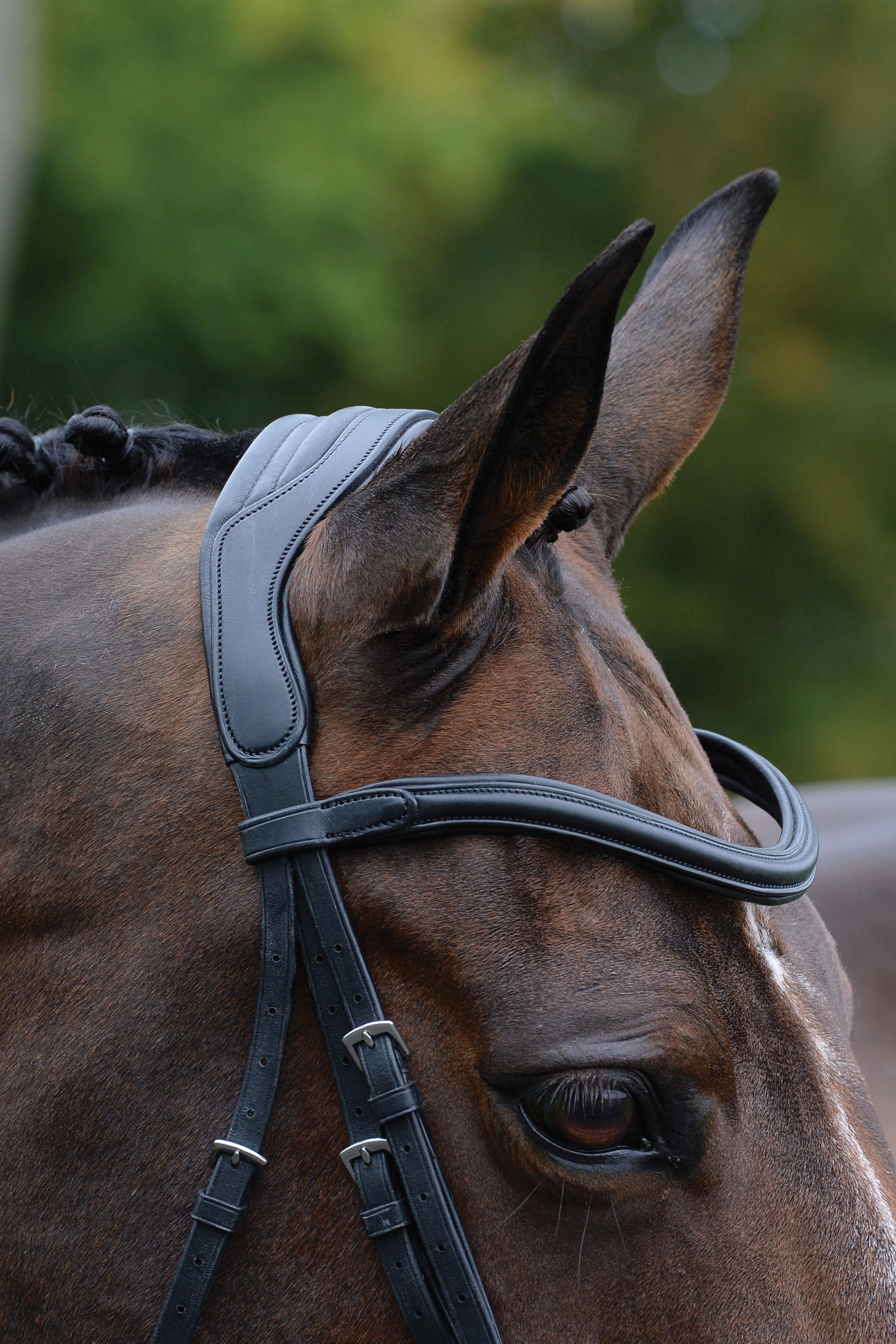 Collegiate Comfitec Vogue Anatomical Bridle Bridles & Reins