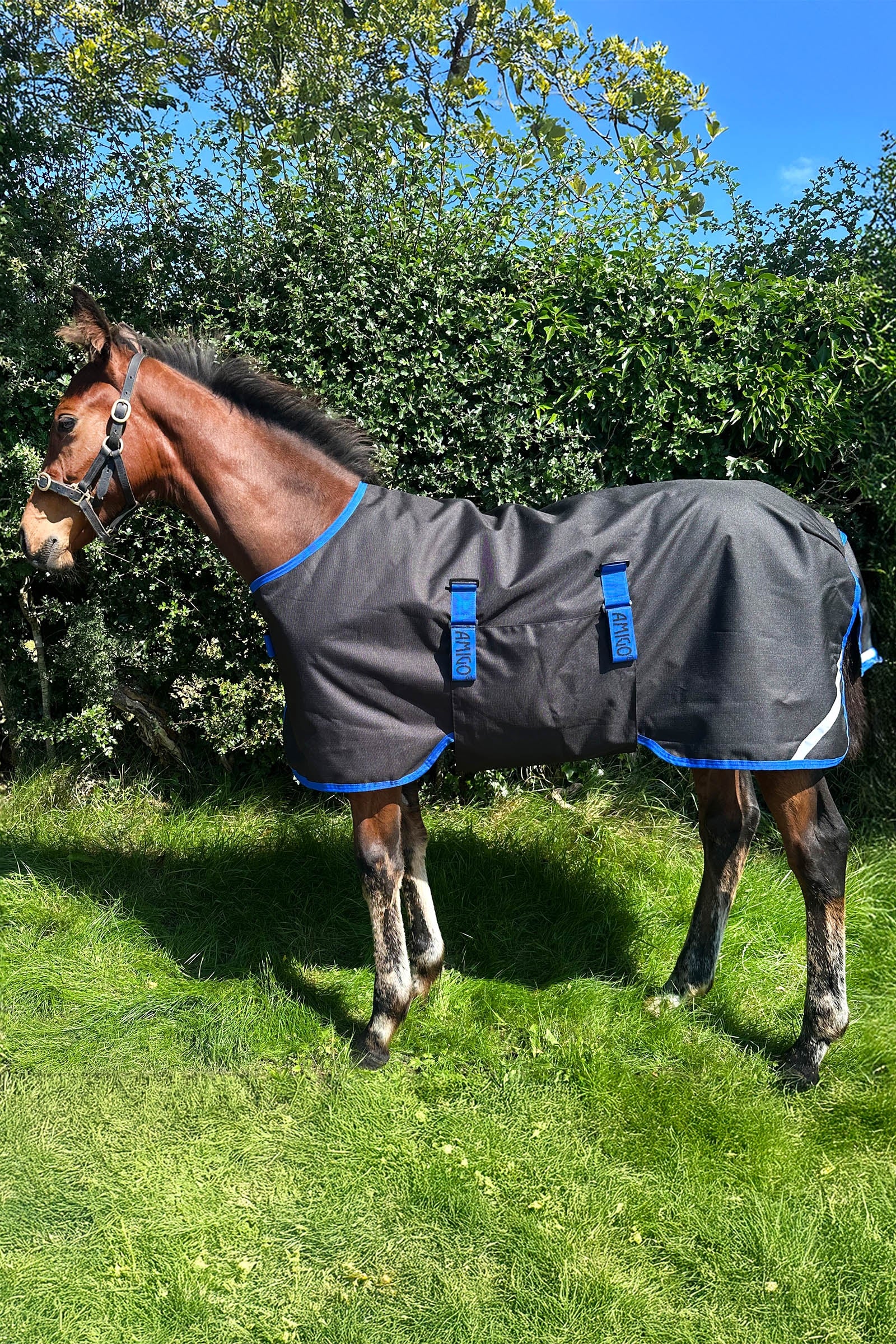 Horseware Amigo Ripstop 900D Weidedecke für Fohlen 50g Pferdedecken