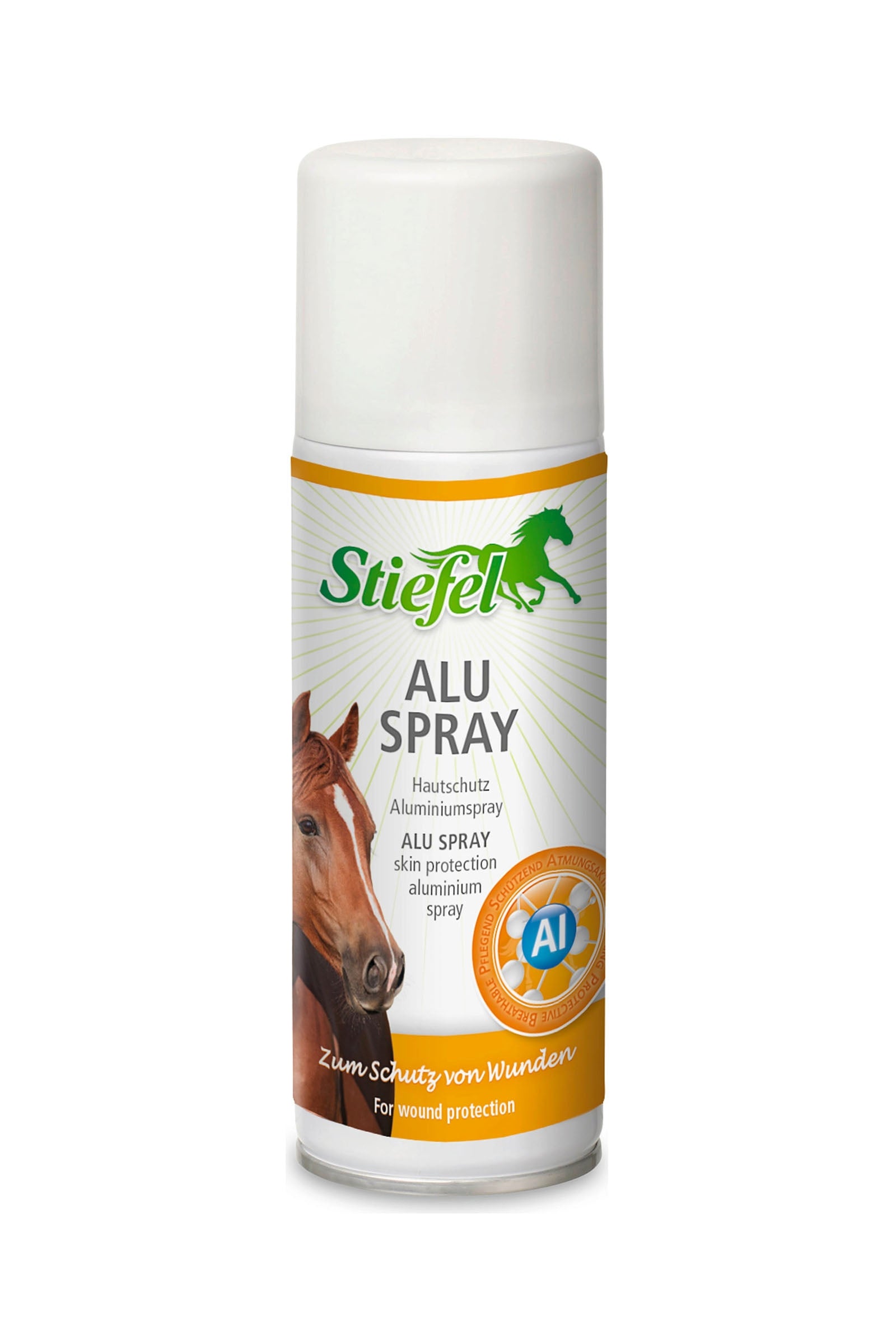 Stiefel Alu Spray Pflege