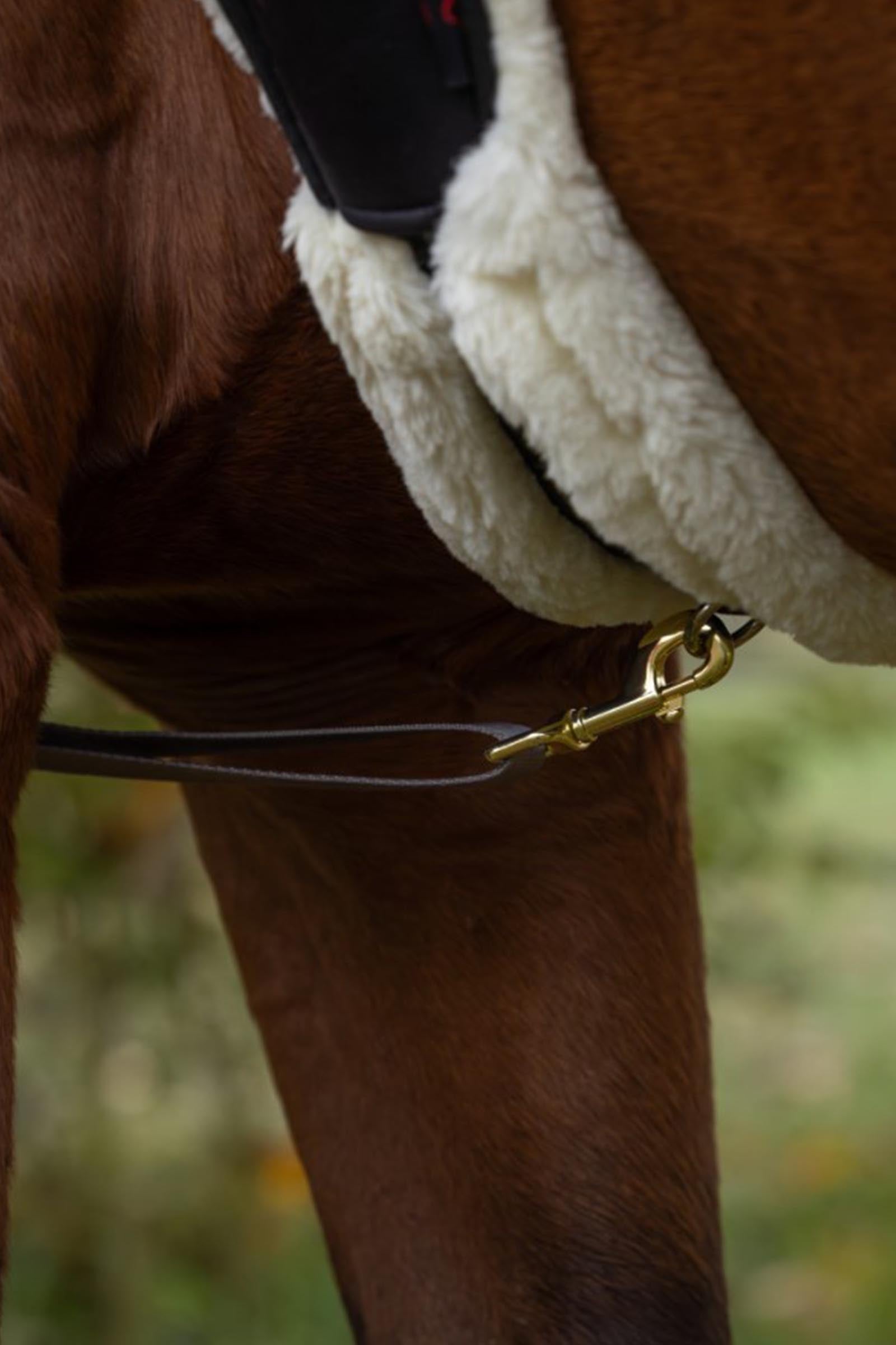 Covalliero LED Breastplate Reflective