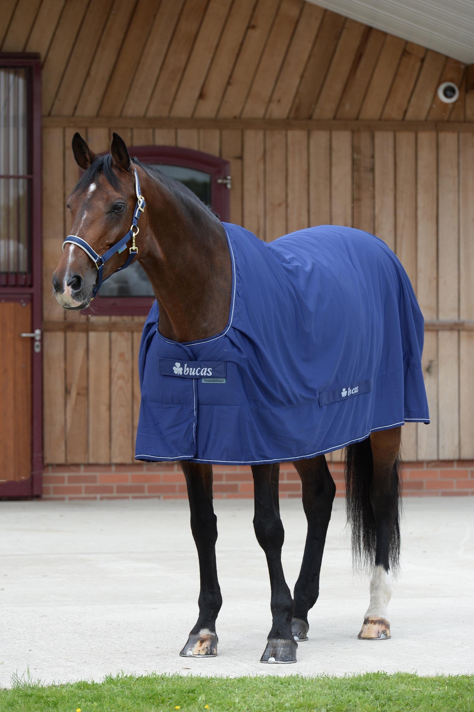 Bucas Shamrock Power Horse Rugs