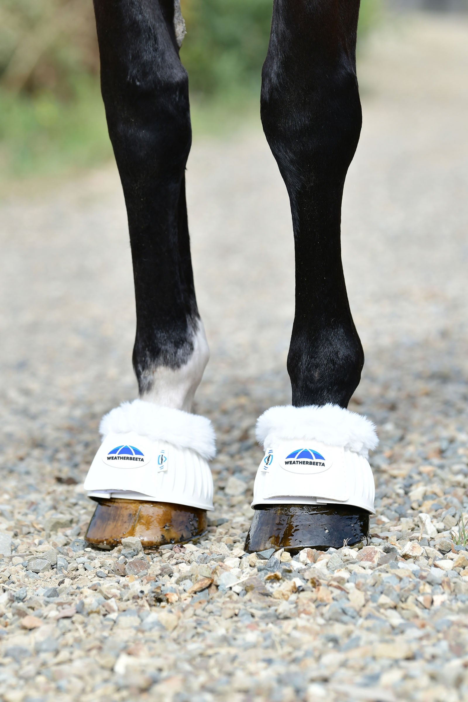 Weatherbeeta Tough-Tec Prime Fleece Trim Rubber Bell Boots Leg & Hoof Protection