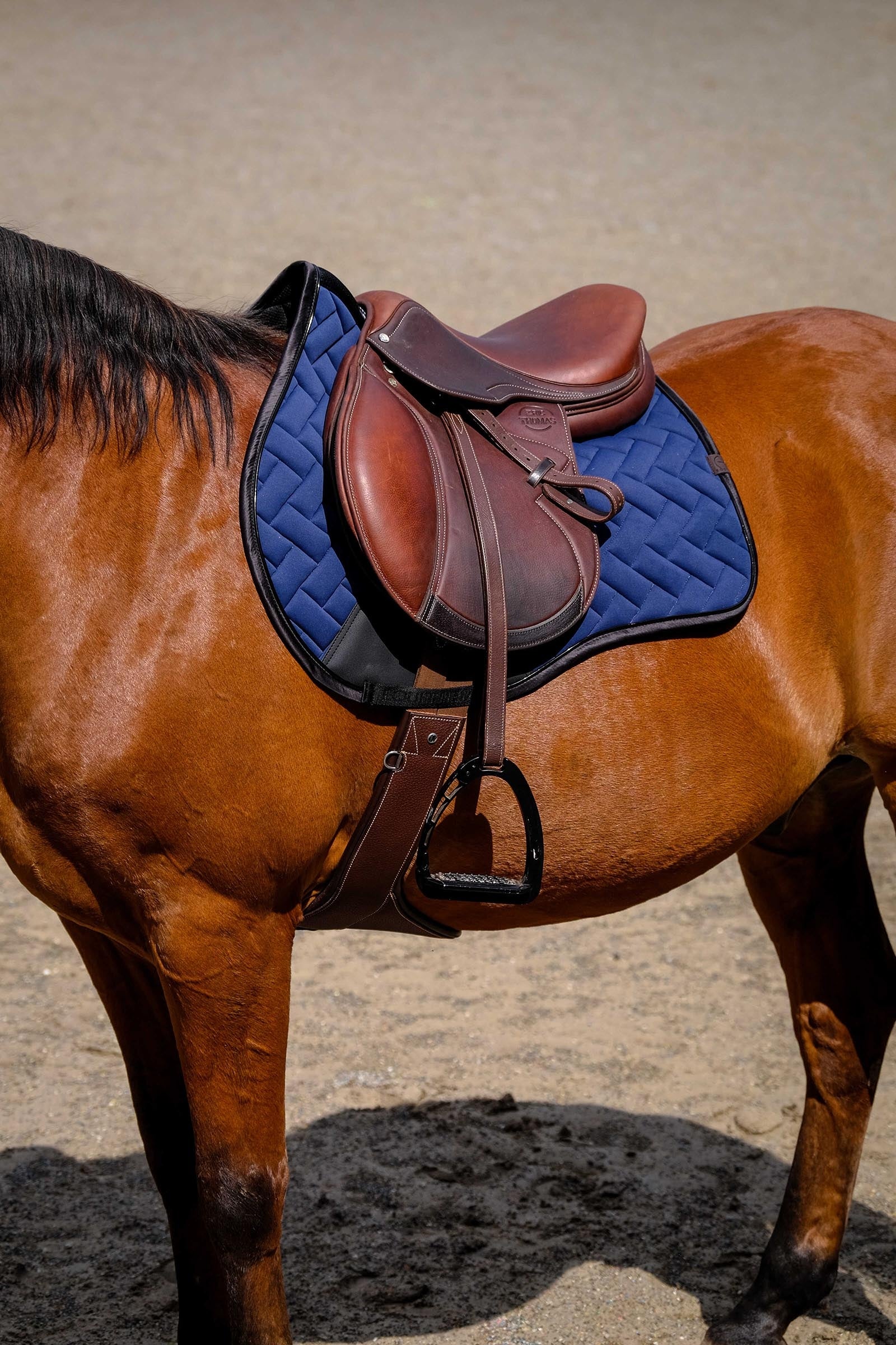 EQUITHÈME Impulsion Saddle Pad Saddle Pads