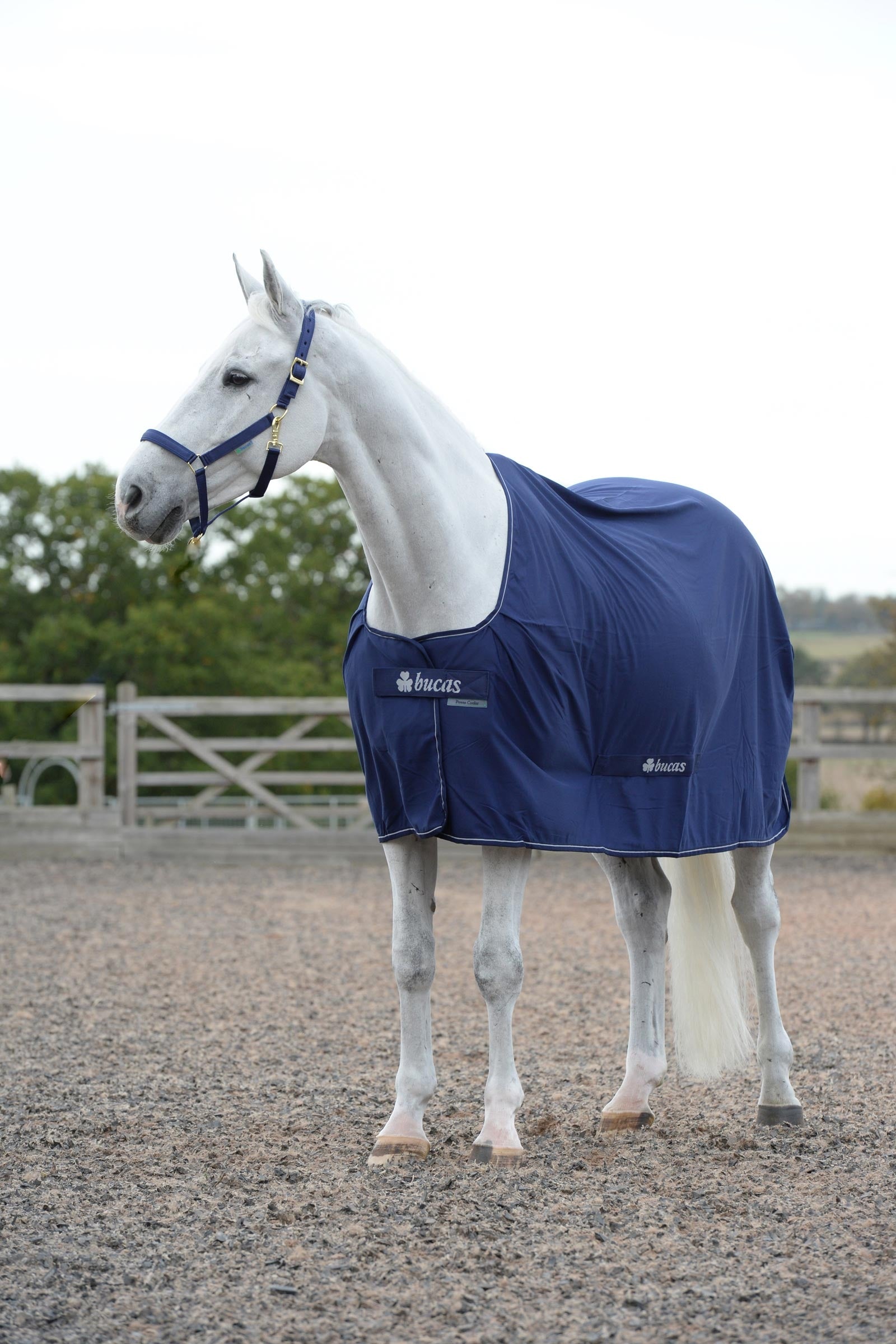 Bucas Power Abschwitzdecke Pferdedecken