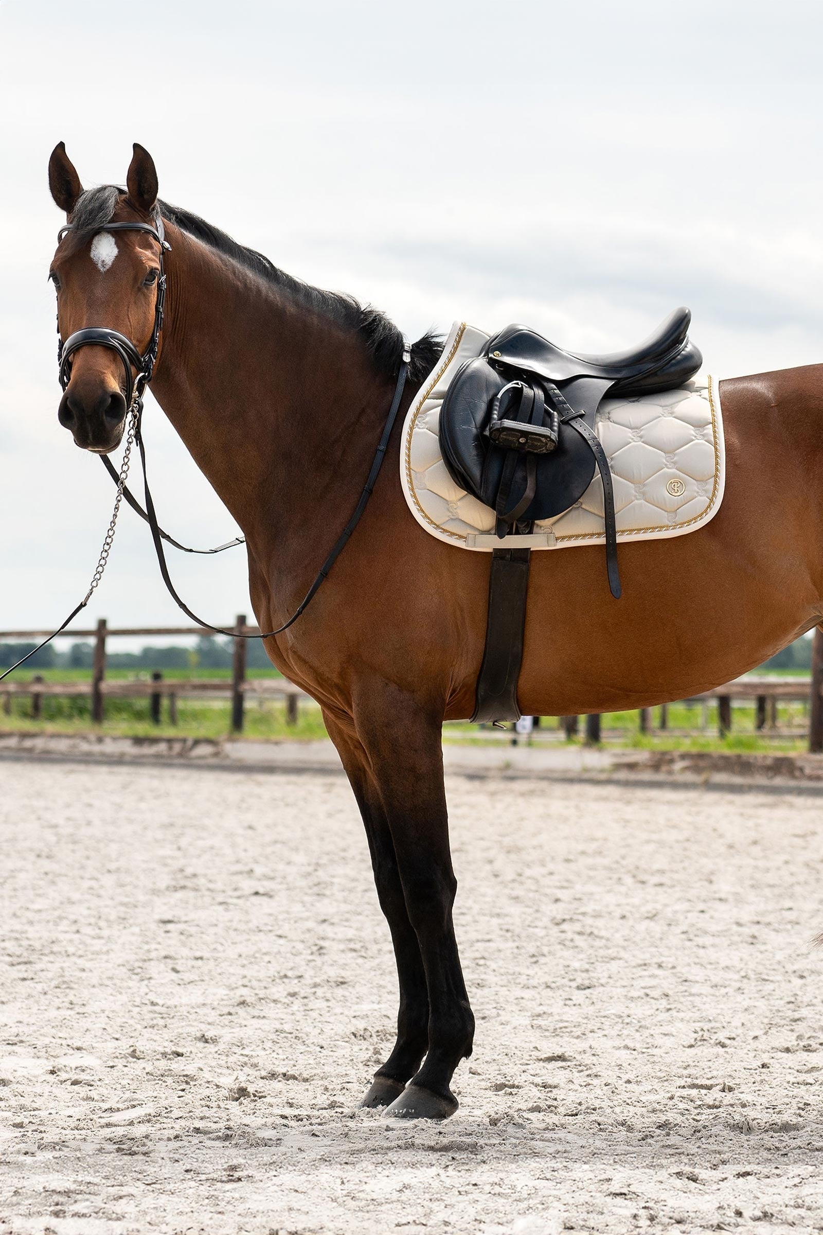 PS of Sweden Signature Jumping Saddle Pad Saddle Pads
