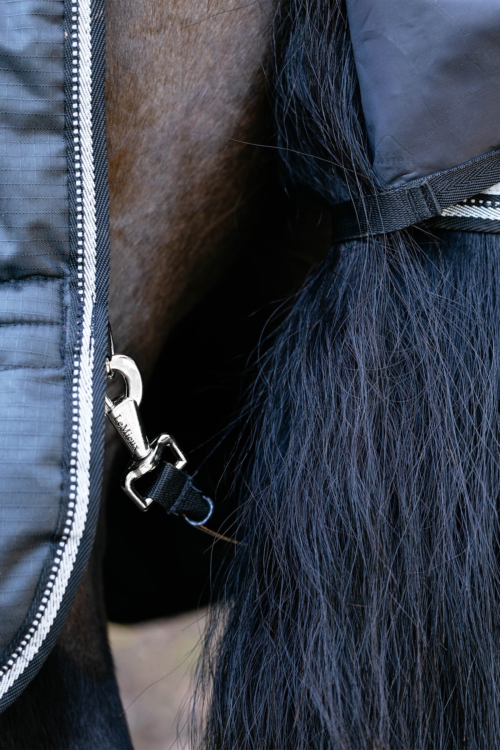 LeMieux Arika Reflective Turnout Rug With Detachable Neck, 0 g Horse Rugs