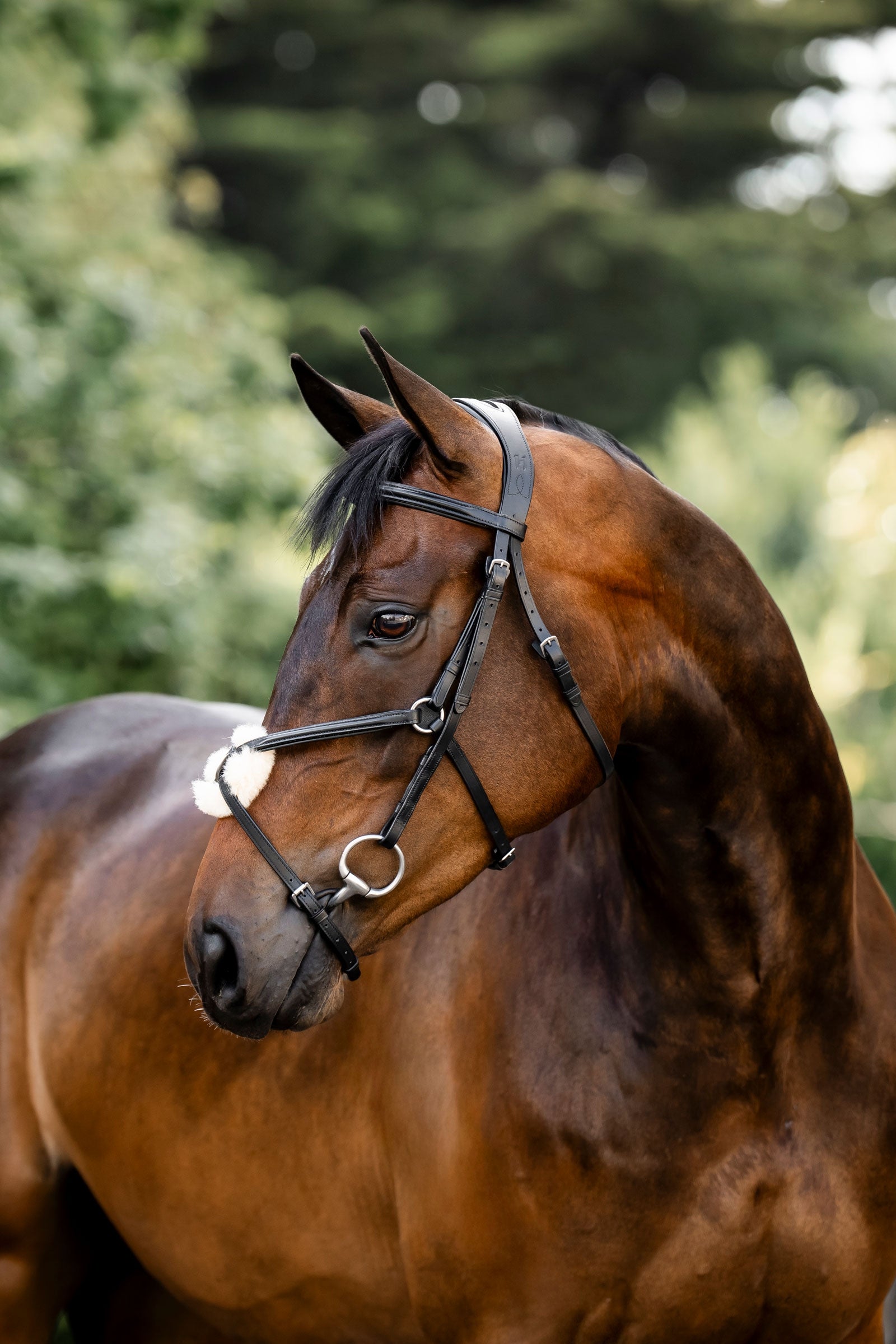 Horseware Trense mit Mexikanischem Reithalfter Trensenzäume & Zügel
