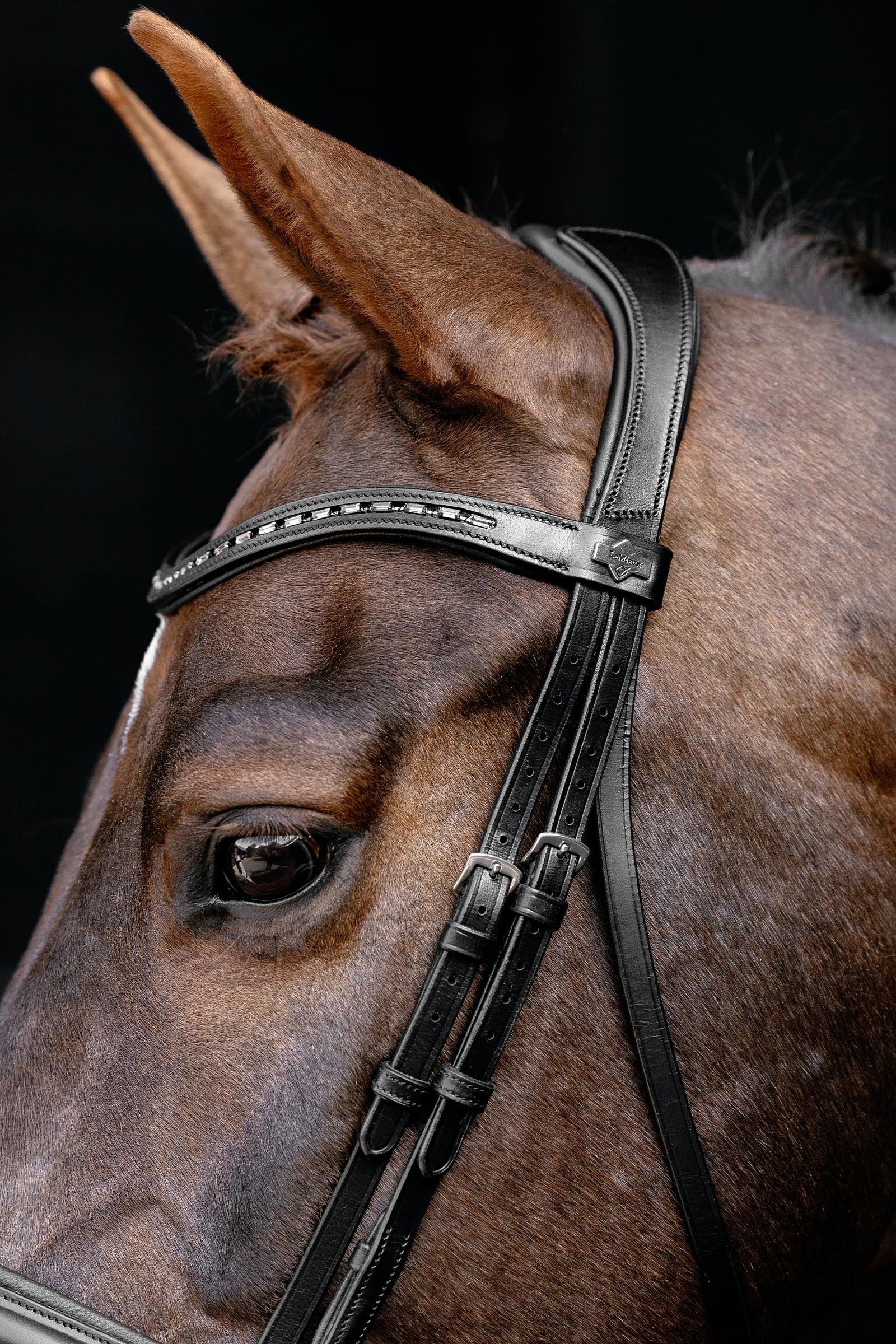 LeMieux Arika Dressage Bridle Bridles & Reins