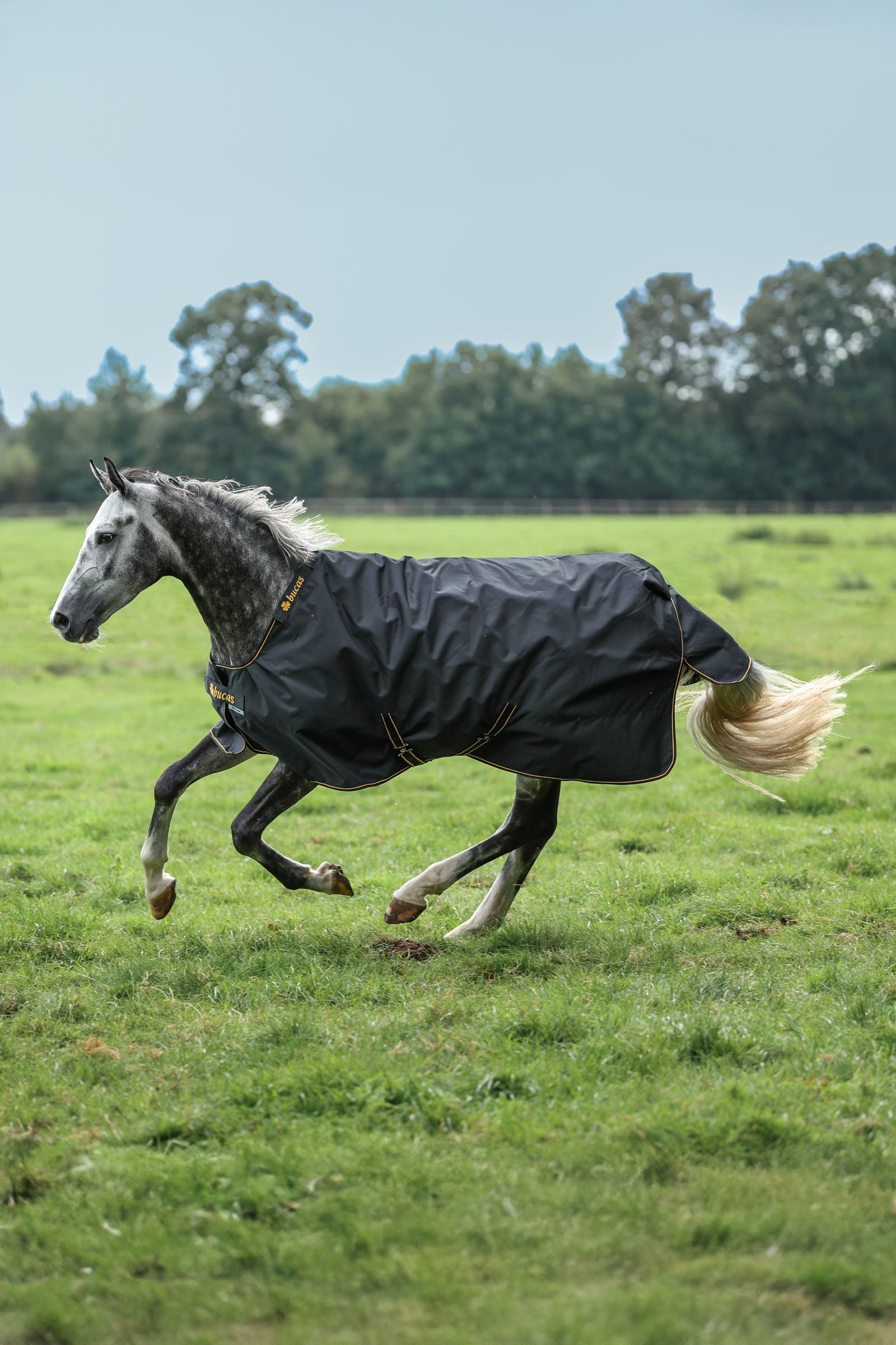 Bucas Irish Outdoordecke, 100 g Pferdedecken