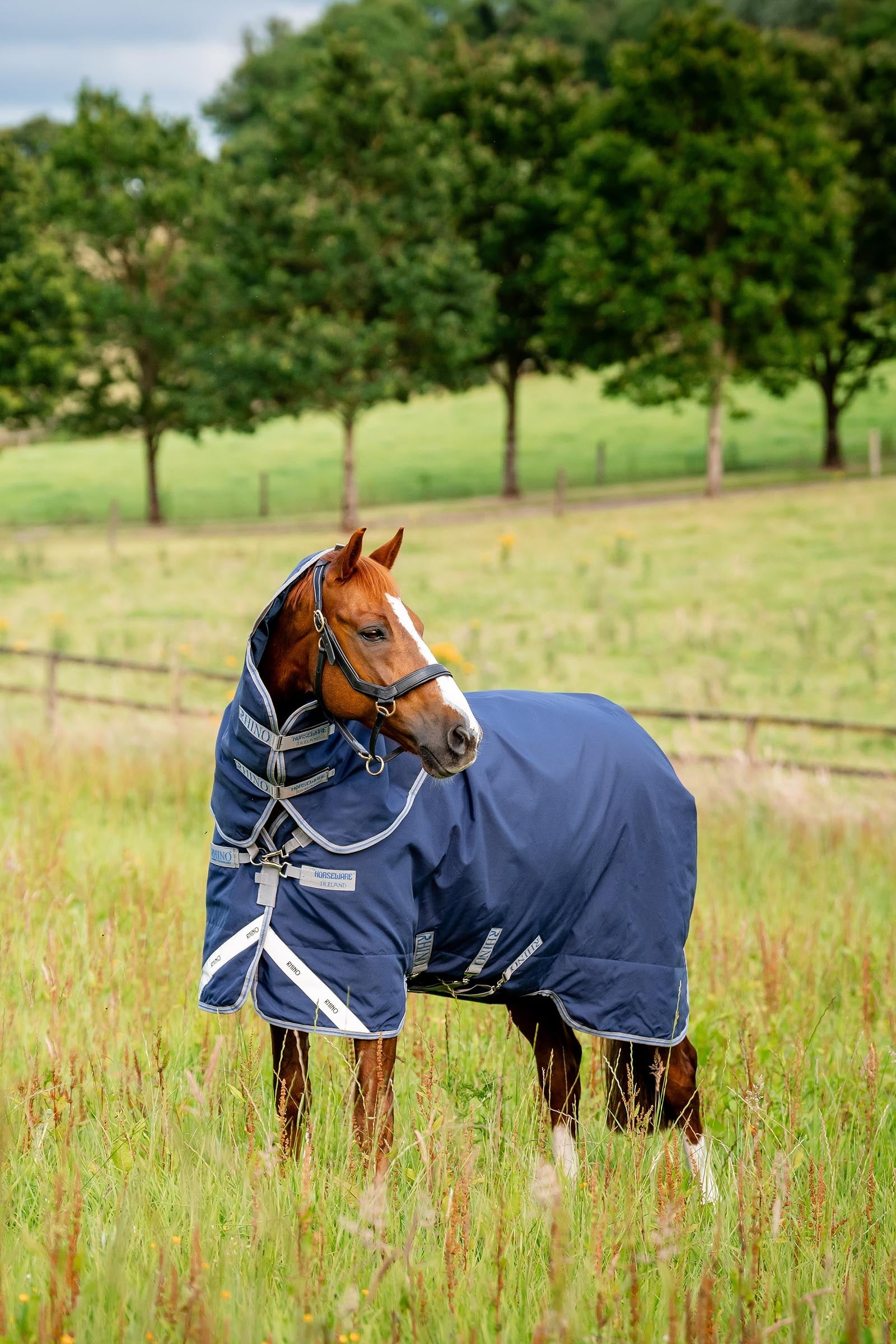 Horseware Rhino Plus Vari-Layer Turnout Rug With Detachable Neck, 250g Horse Rugs