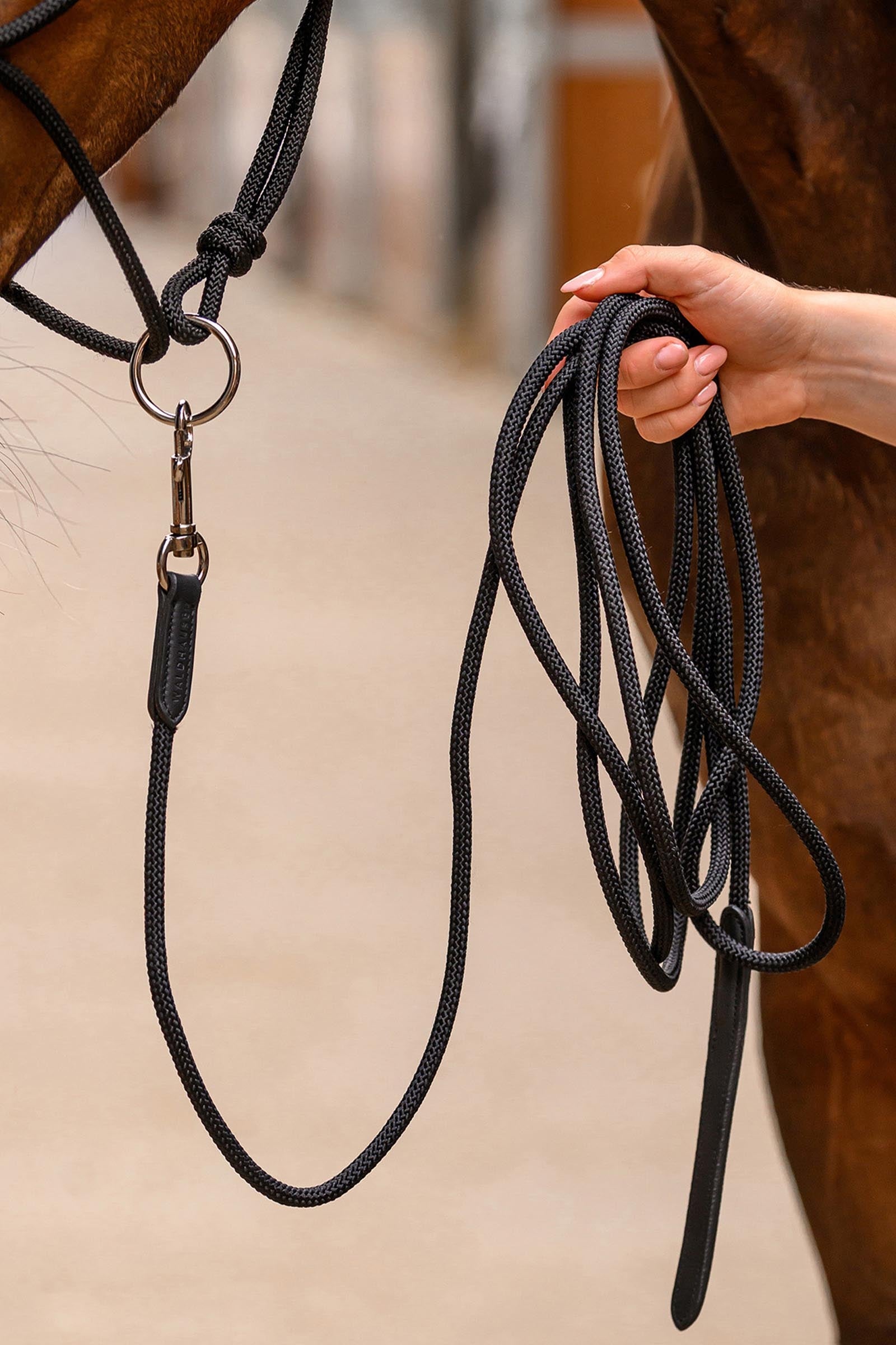 Waldhausen Fine Ground Work Rope with Carabiner Horse Training