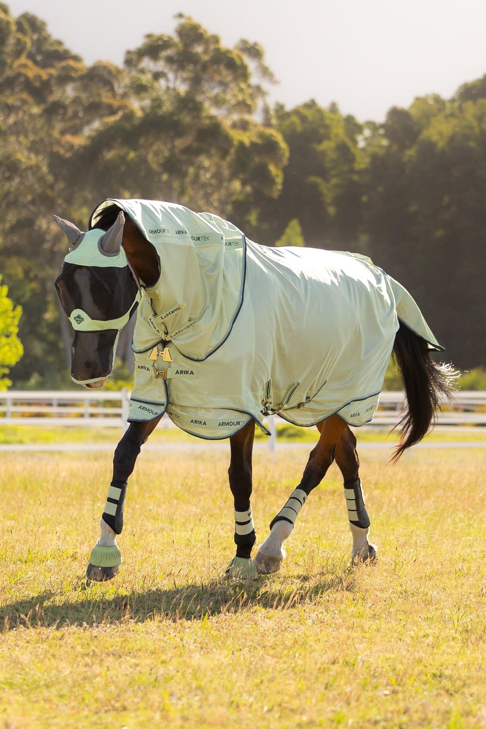 LeMieux Arika Armour-Tek Fly Rug w. Detachable Neck Horse Rugs