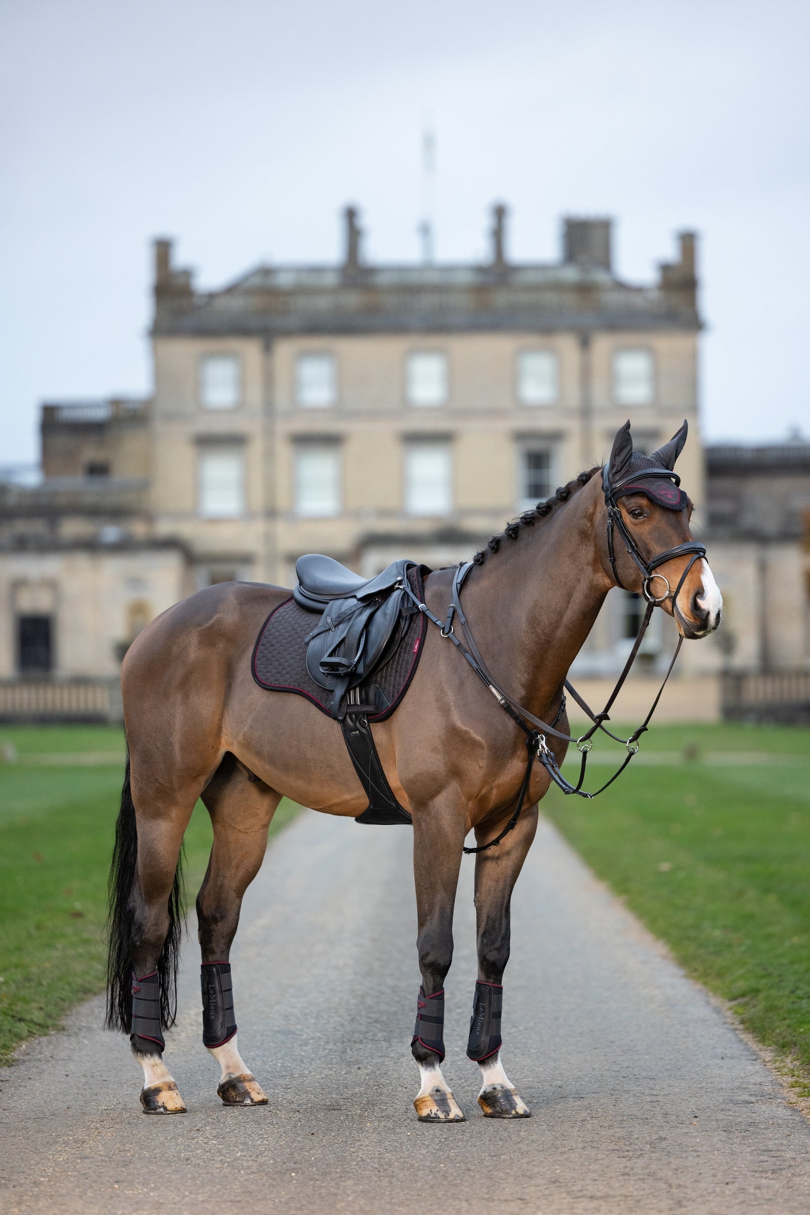 LeMieux Grafter Boots Leg Protection & Hoof Protection for Horses