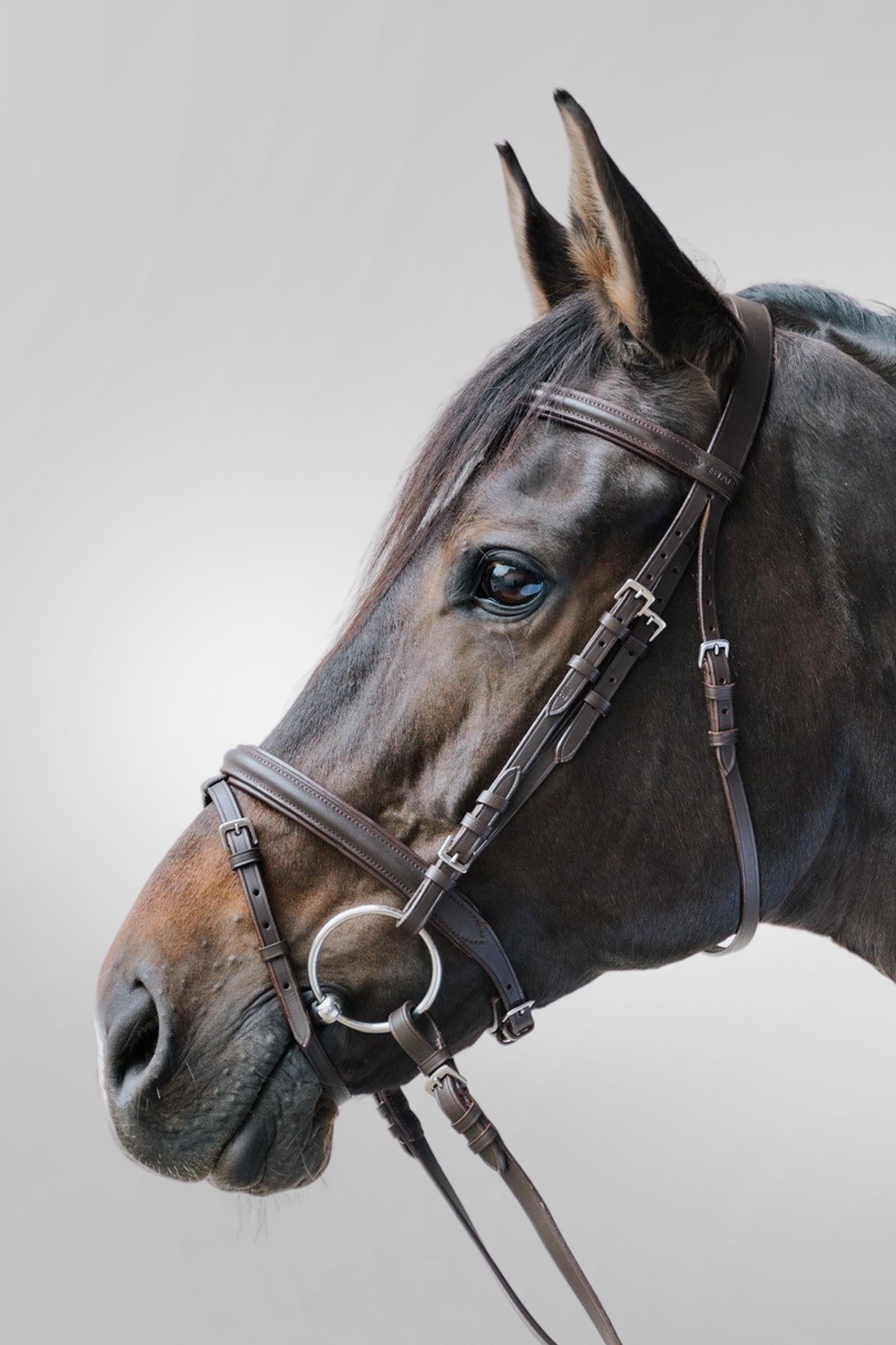 Star Lifestyle Leather Bridle Bridles & Reins