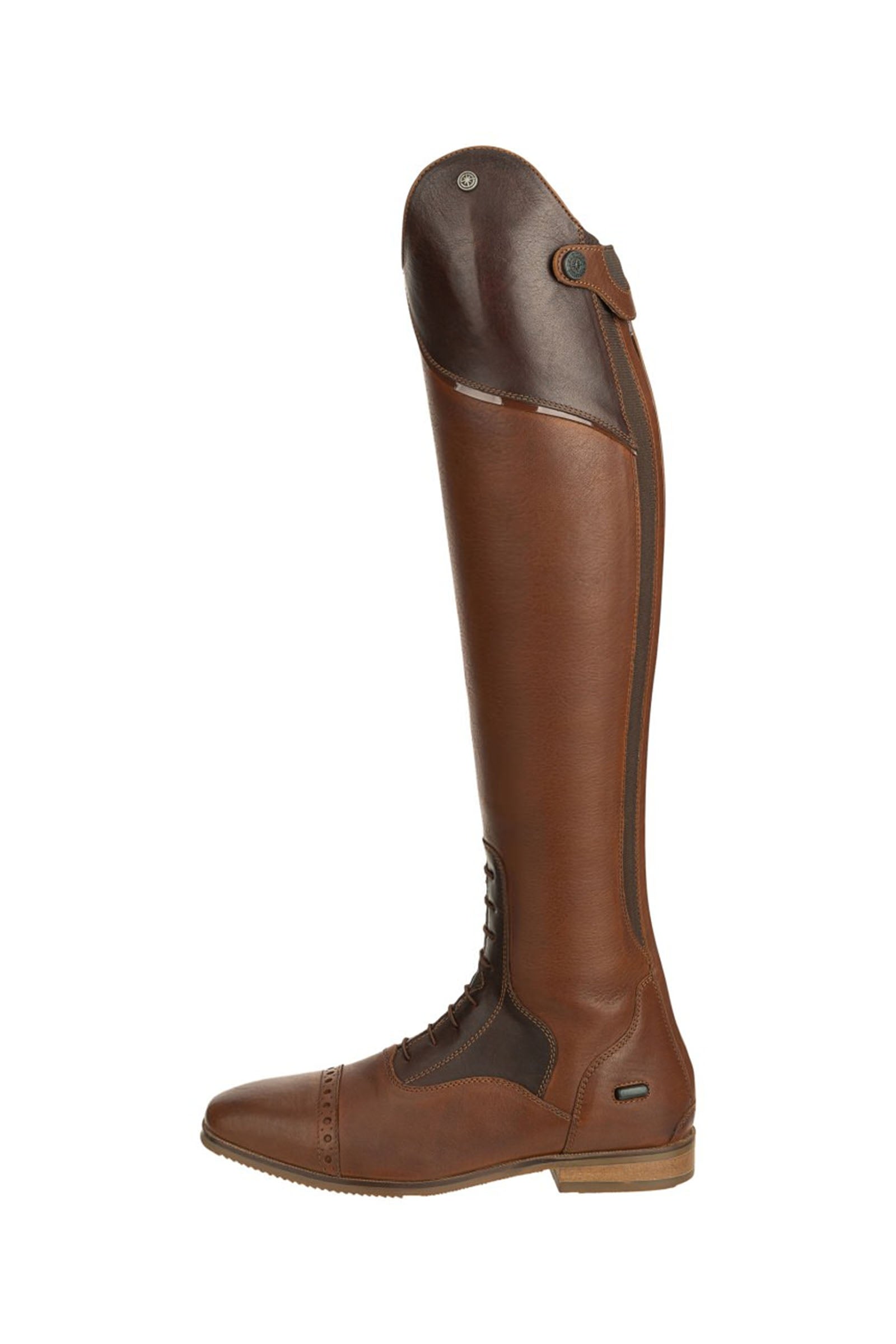Suedwind Footwear Florentina Tall Riding Boots Riding Boots & Riding Shoes