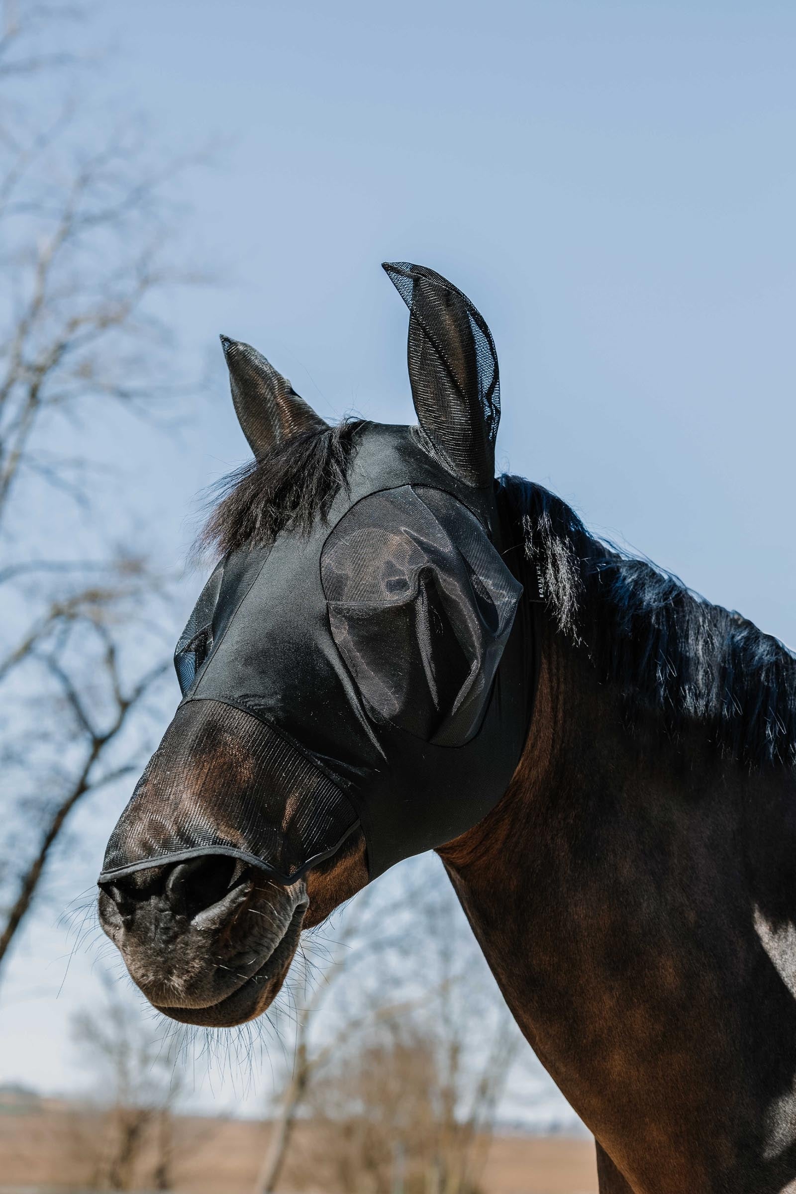 EQUITHÈME Lycra Fliegenmaske / UV-Maske + Nase Fliegenschutz