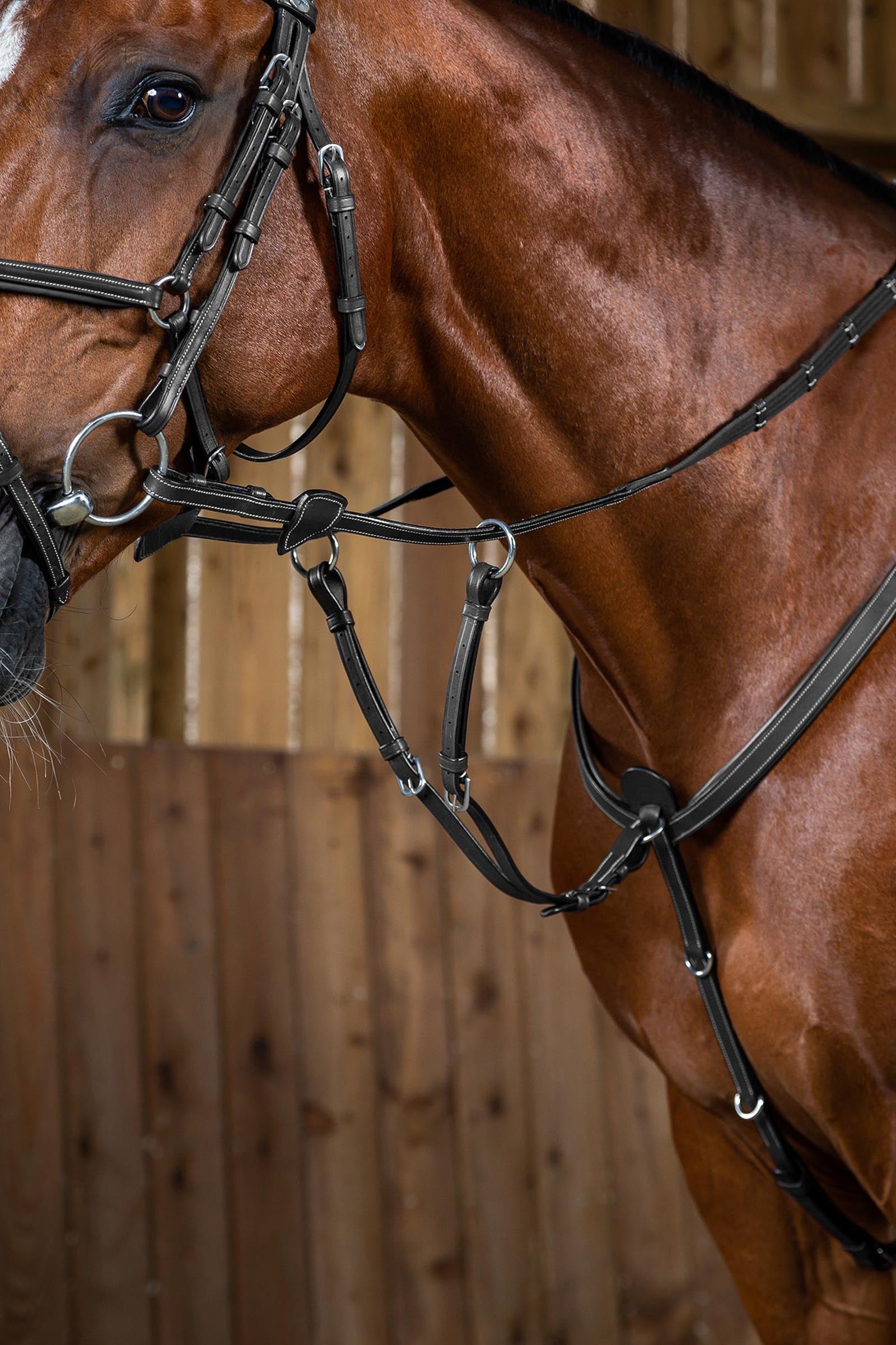 Dy'on Working Martingalgabel Trensenzäume & Zügel