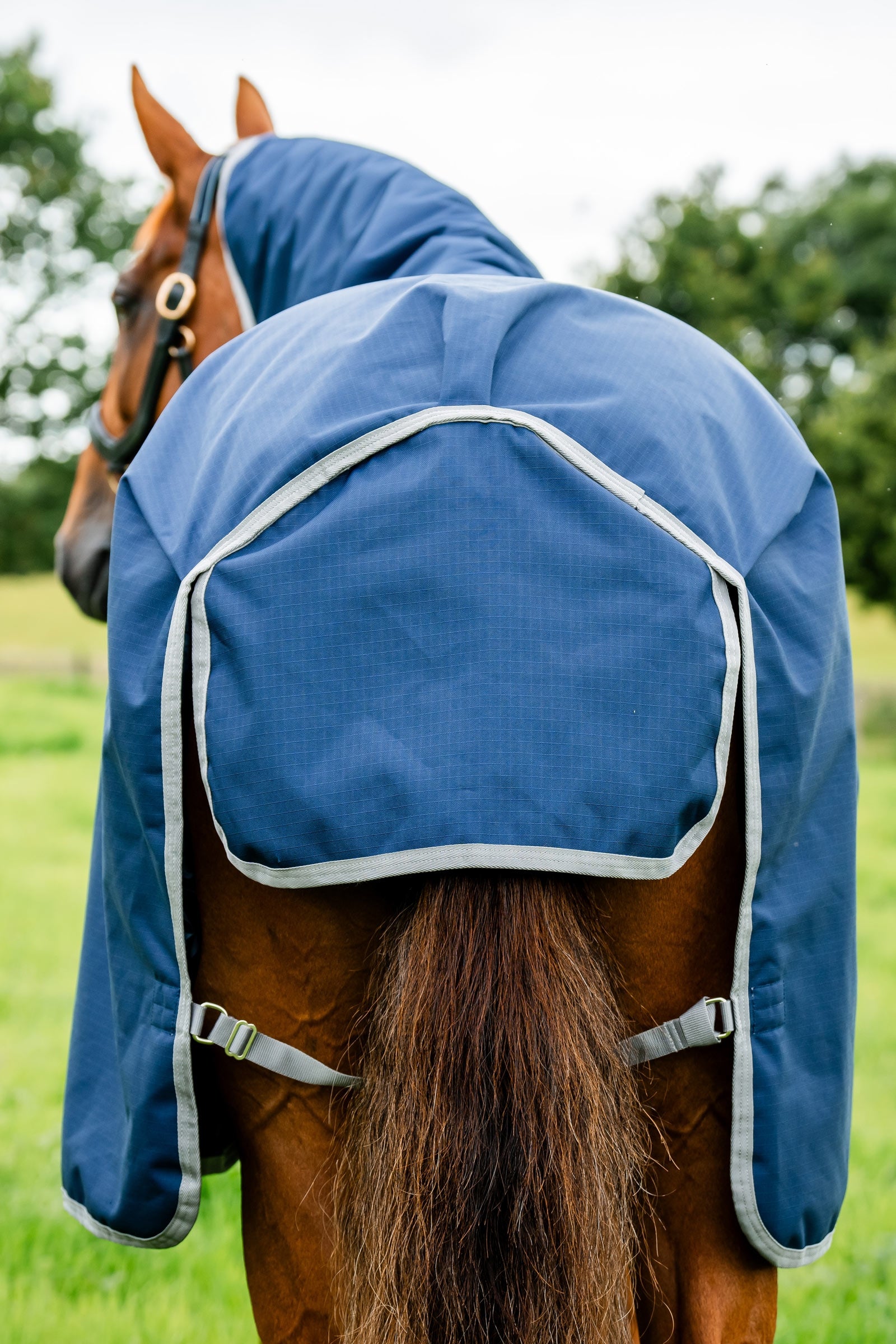 Horseware Amigo Ripstop 900D Turnout Rug, 200 g Horse Rugs