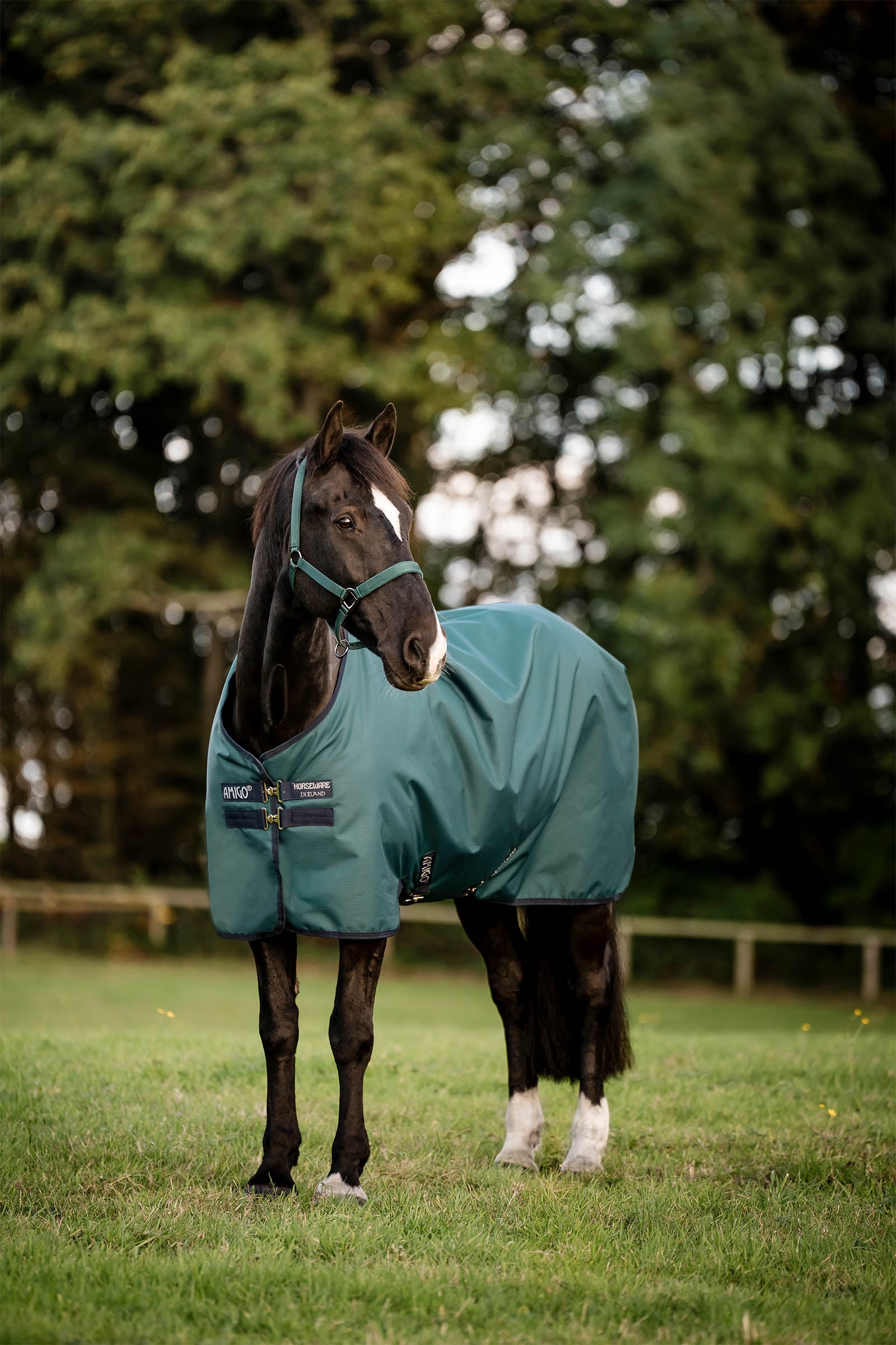 Horseware Amigo Outdoordecke Ripstop 900D, 200 g Pferdedecken
