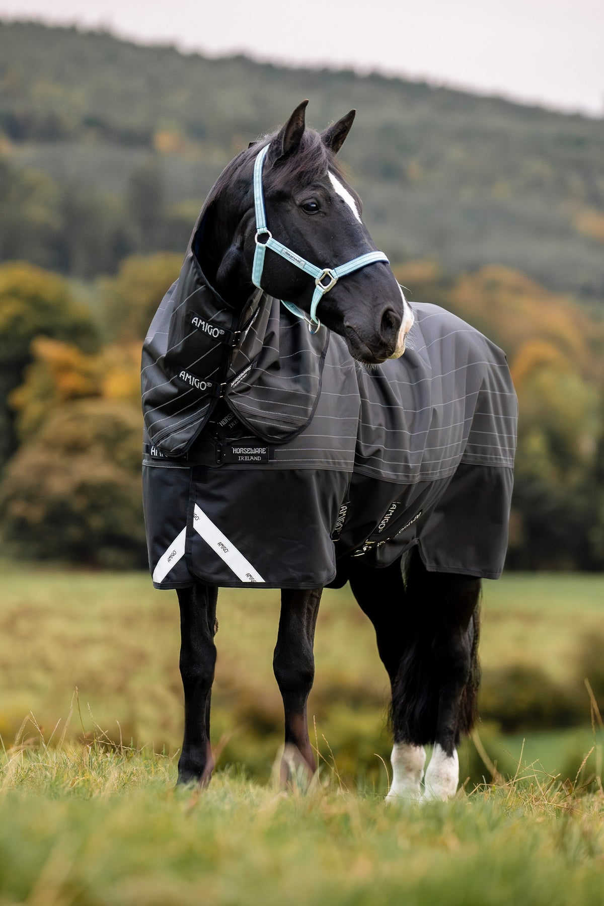 Horseware Amigo 1200D FieldSafe Reflectech Plus Weidedecke mit abnehmbarem Halsteil, 0 g Pferdedecken