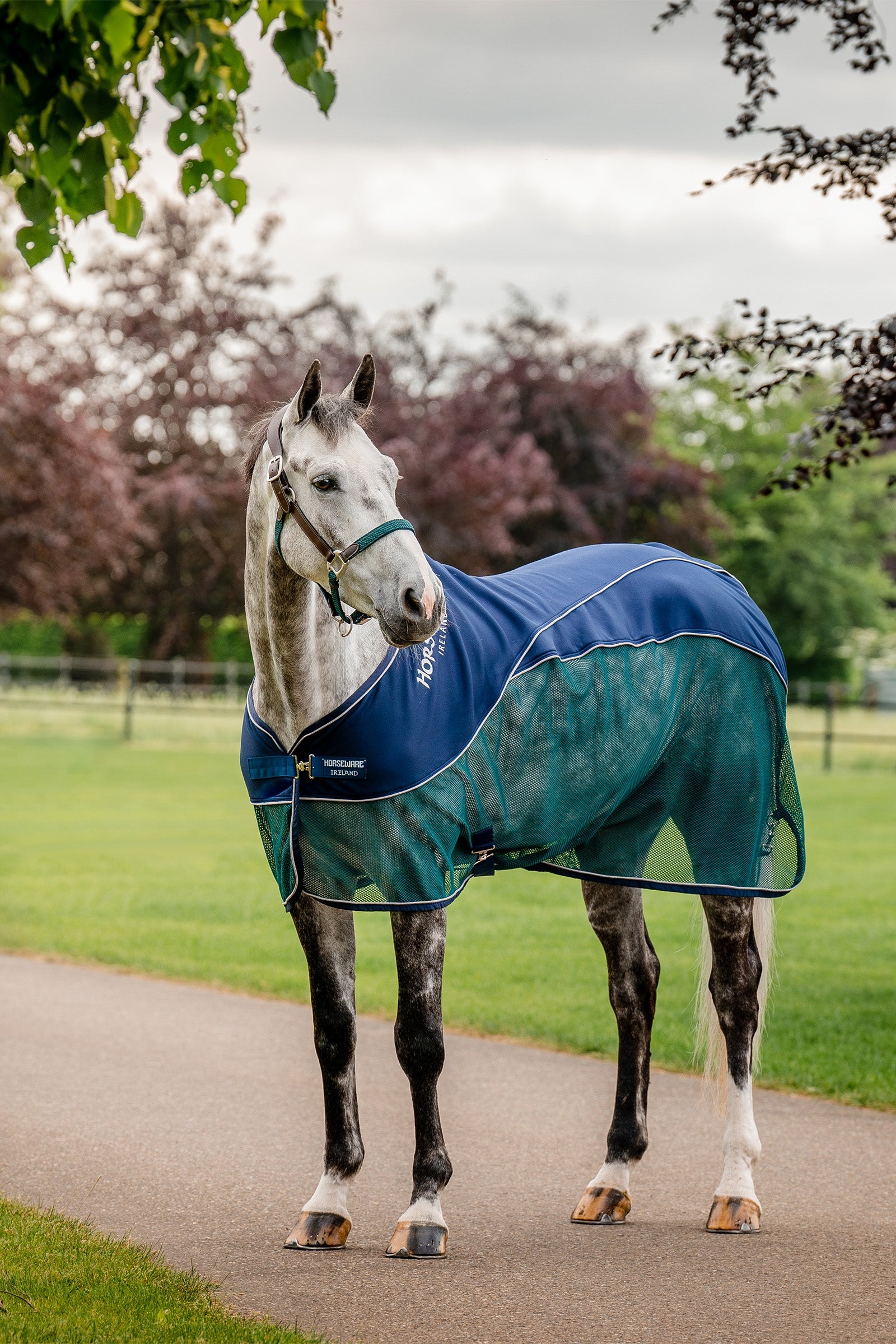 Horseware Signature Sport Abschwitzdecke Pferdedecken
