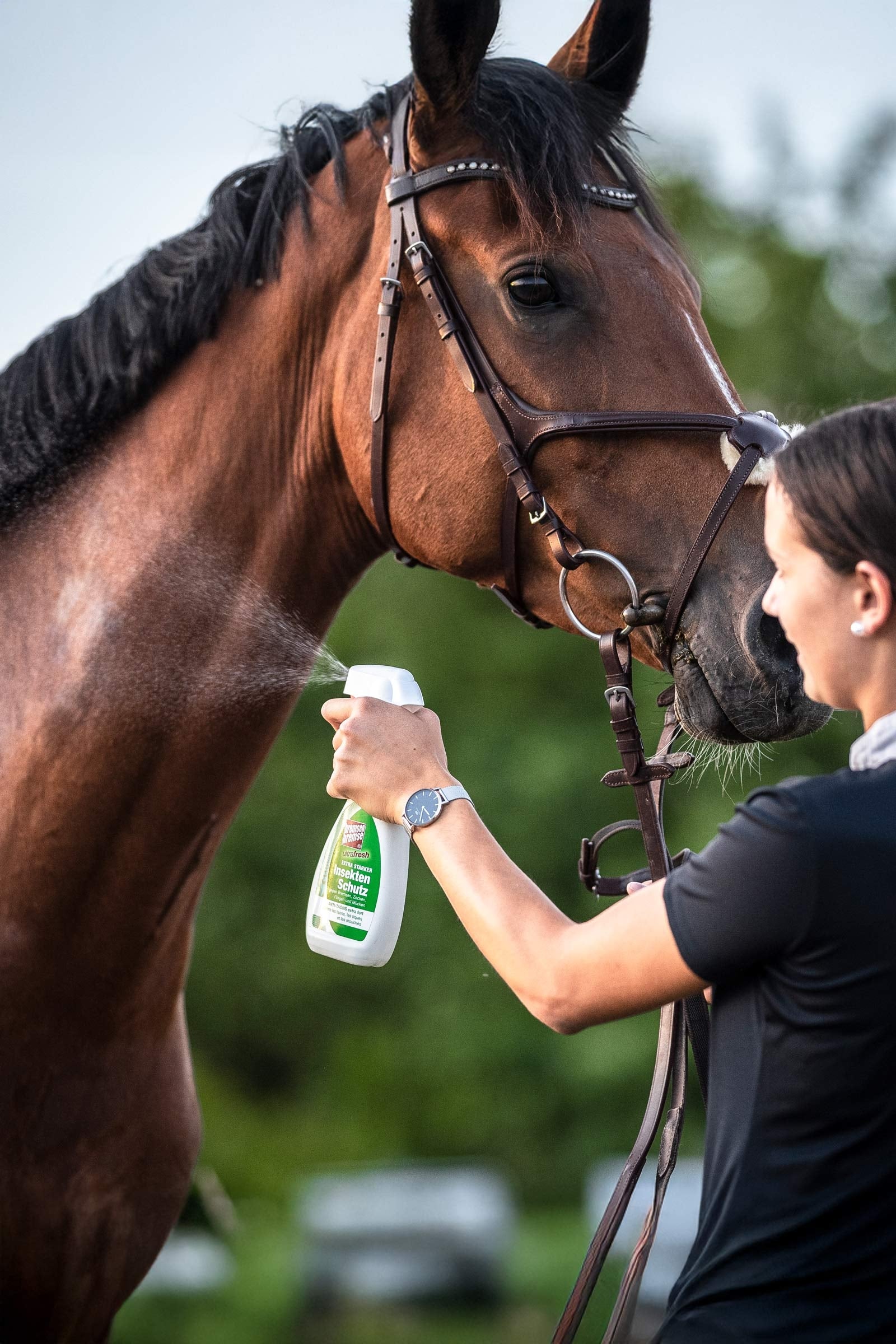 Bremsenbremse Insect Protection - Ultrafresh 375ml Antifly Protection for Horses