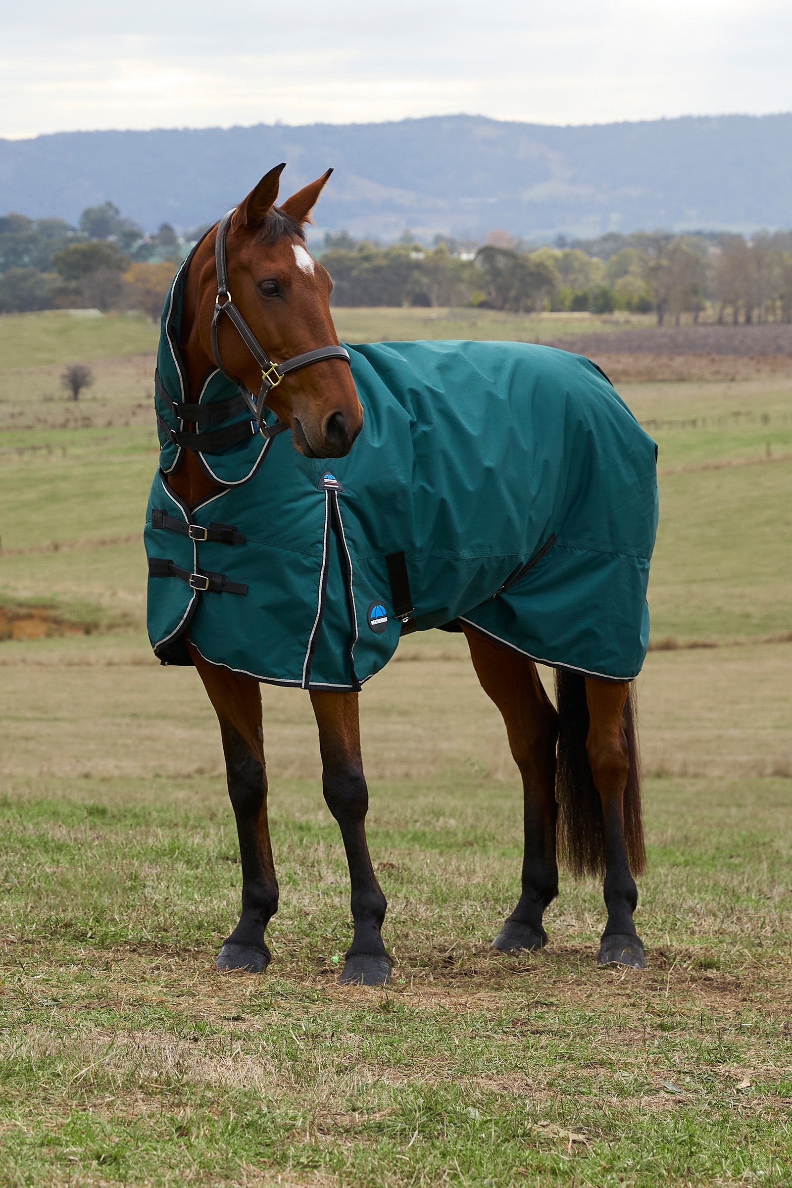 Weatherbeeta ComFiTec Classic Turnout Combo Neck 360G Horse Rugs