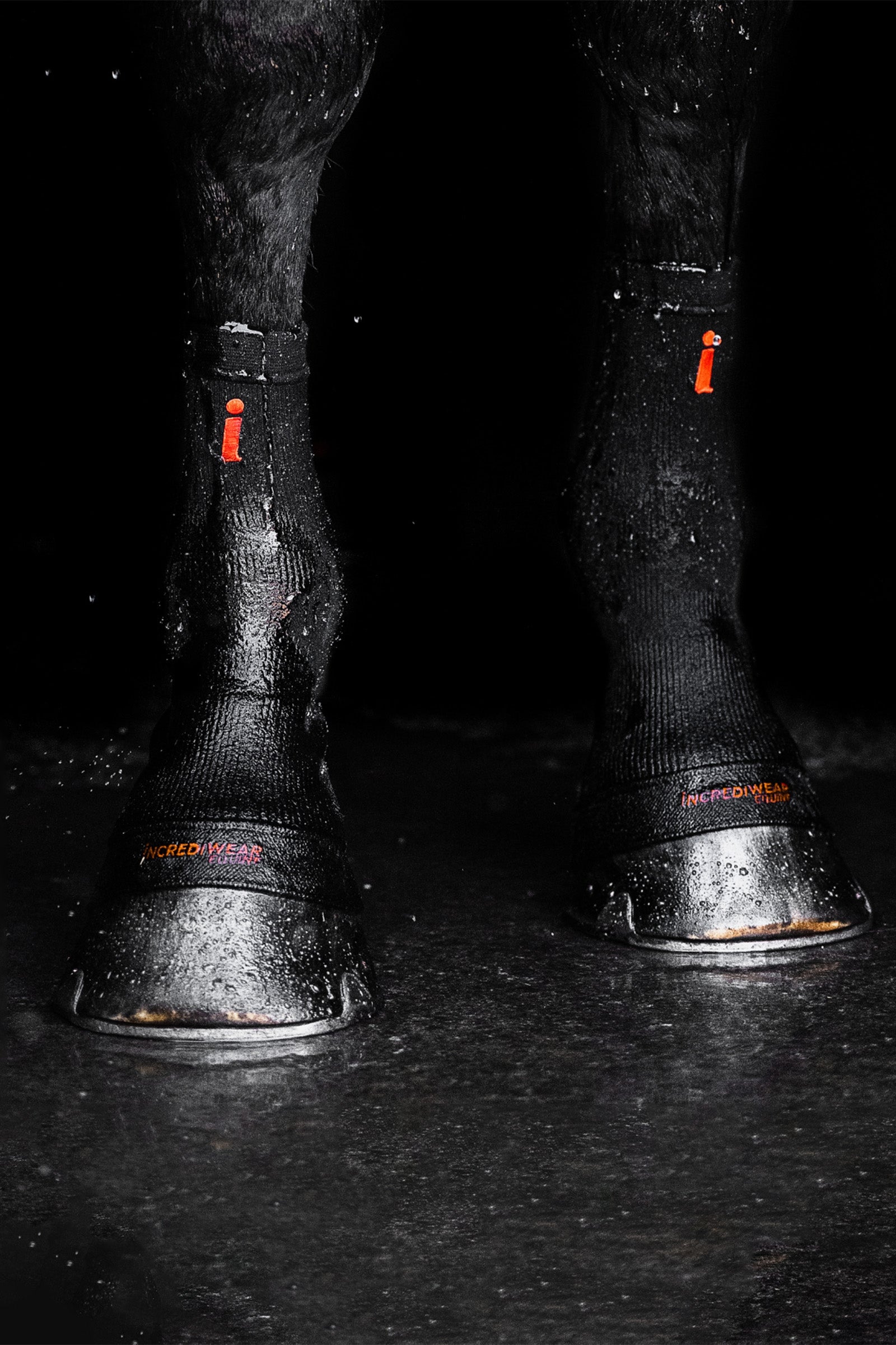 Incrediwear Equine Hoof Socks Leg Protection & Hoof Protection for Horses