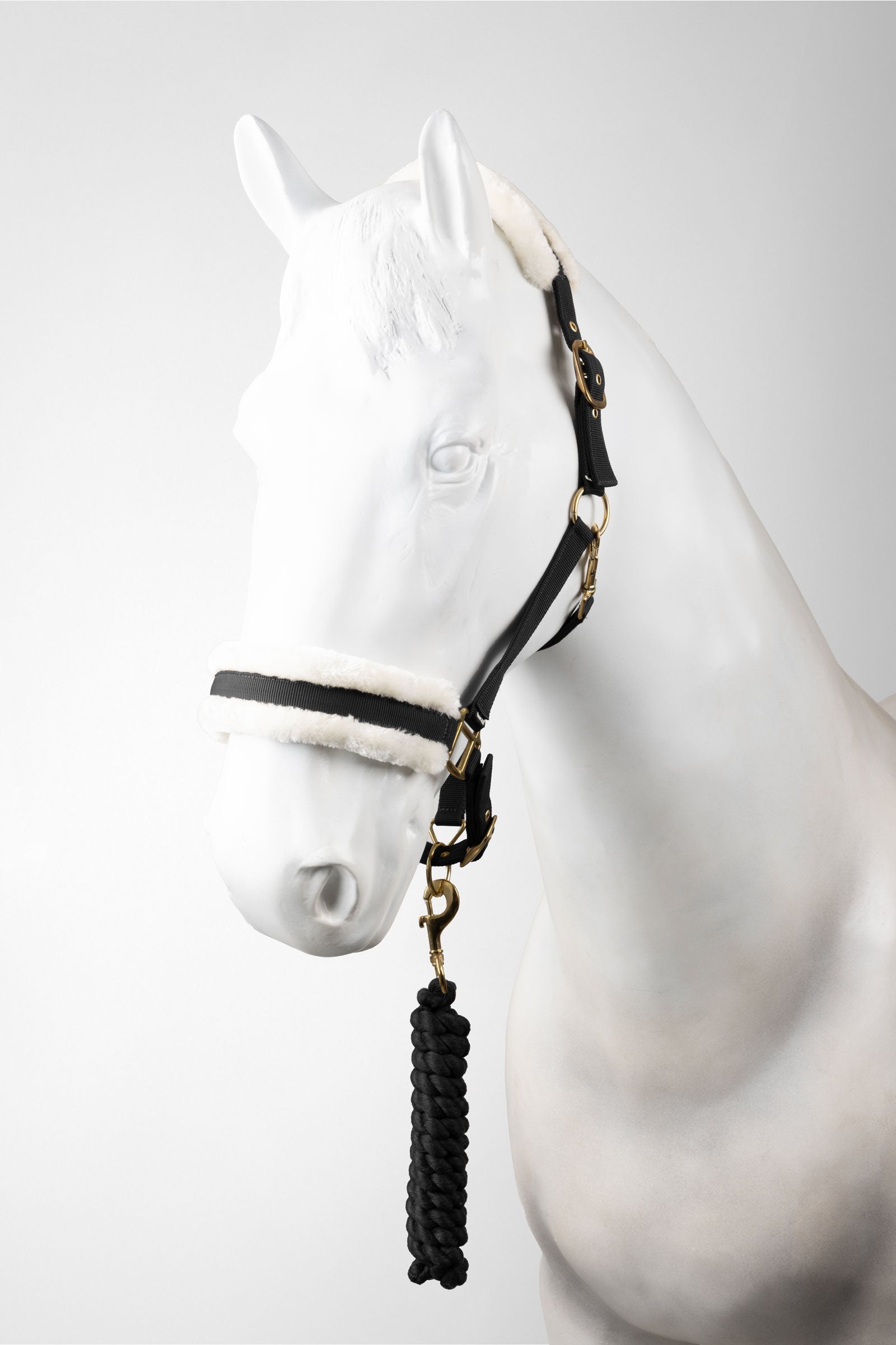 Horze Halfter & Führstrick Set Halfter & Stricke