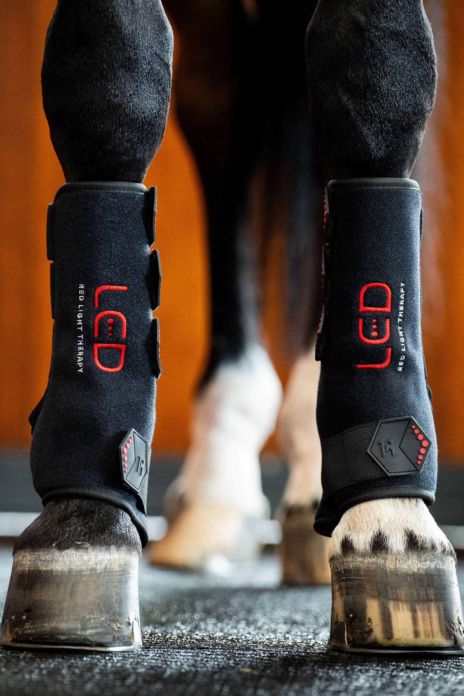 Horseware LED Rotlicht Therapie Gamasche (1 Stk.) Leg Protection & Hoof Protection for Horses