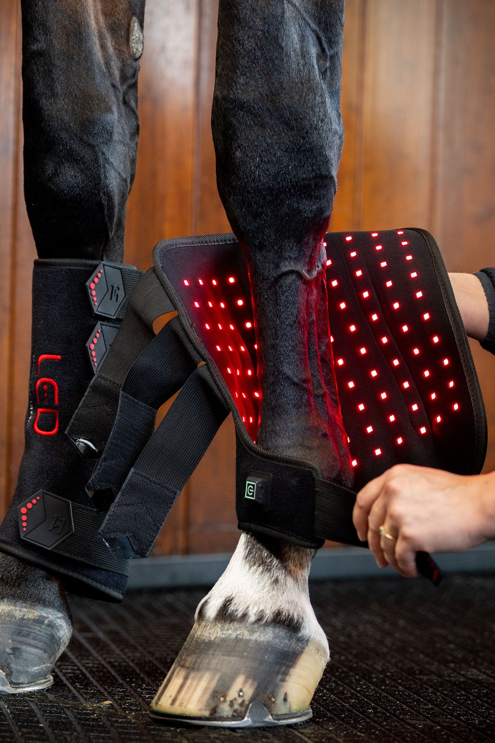 Horseware LED Red Light Therapy Leg Wrap (1 pc.) Leg Protection & Hoof Protection for Horses