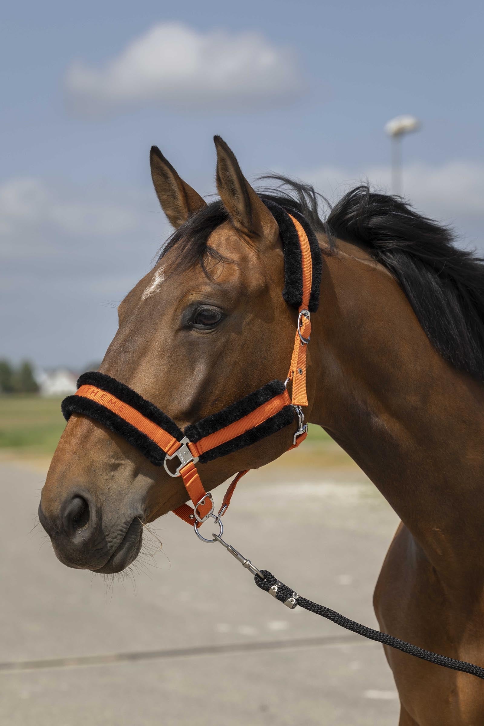 EQUITHÈME Nylon Mouton Halter Halters & Leads