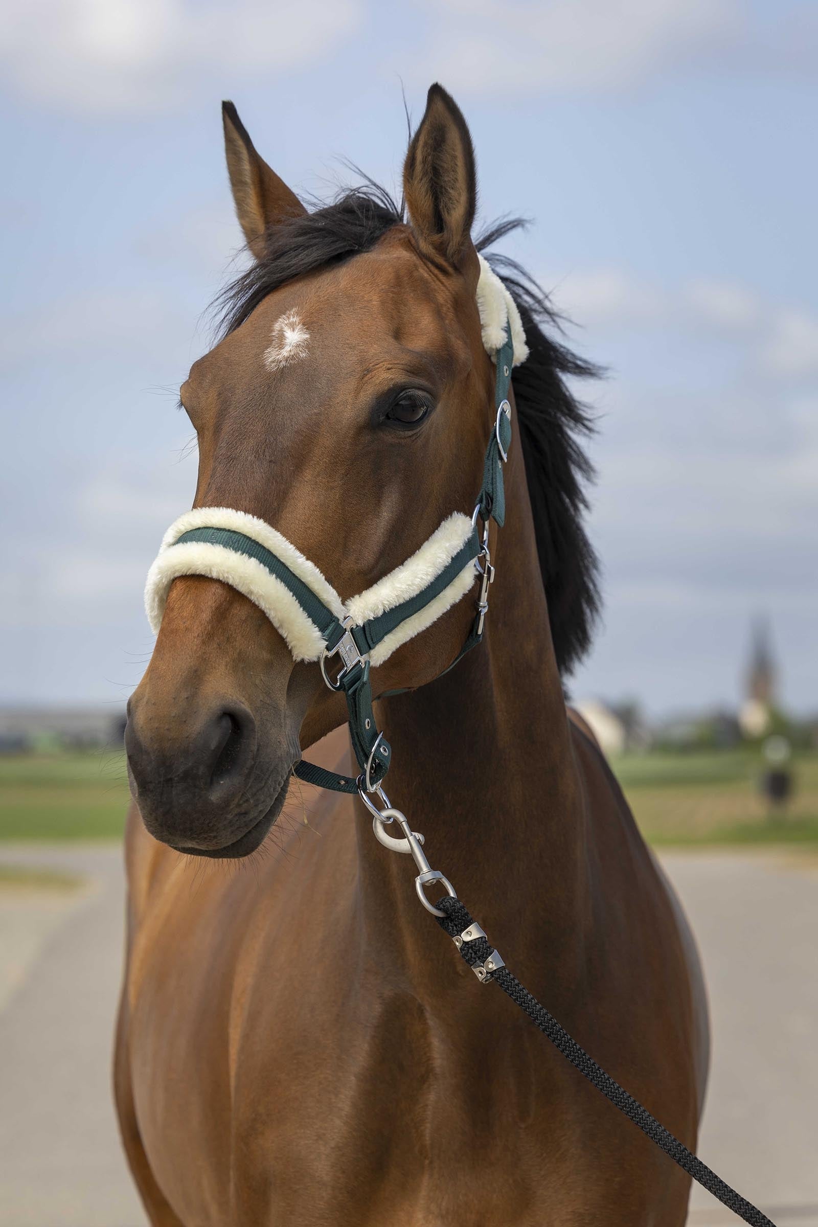 EQUITHÈME Nylon Mouton Halter Halters & Leads
