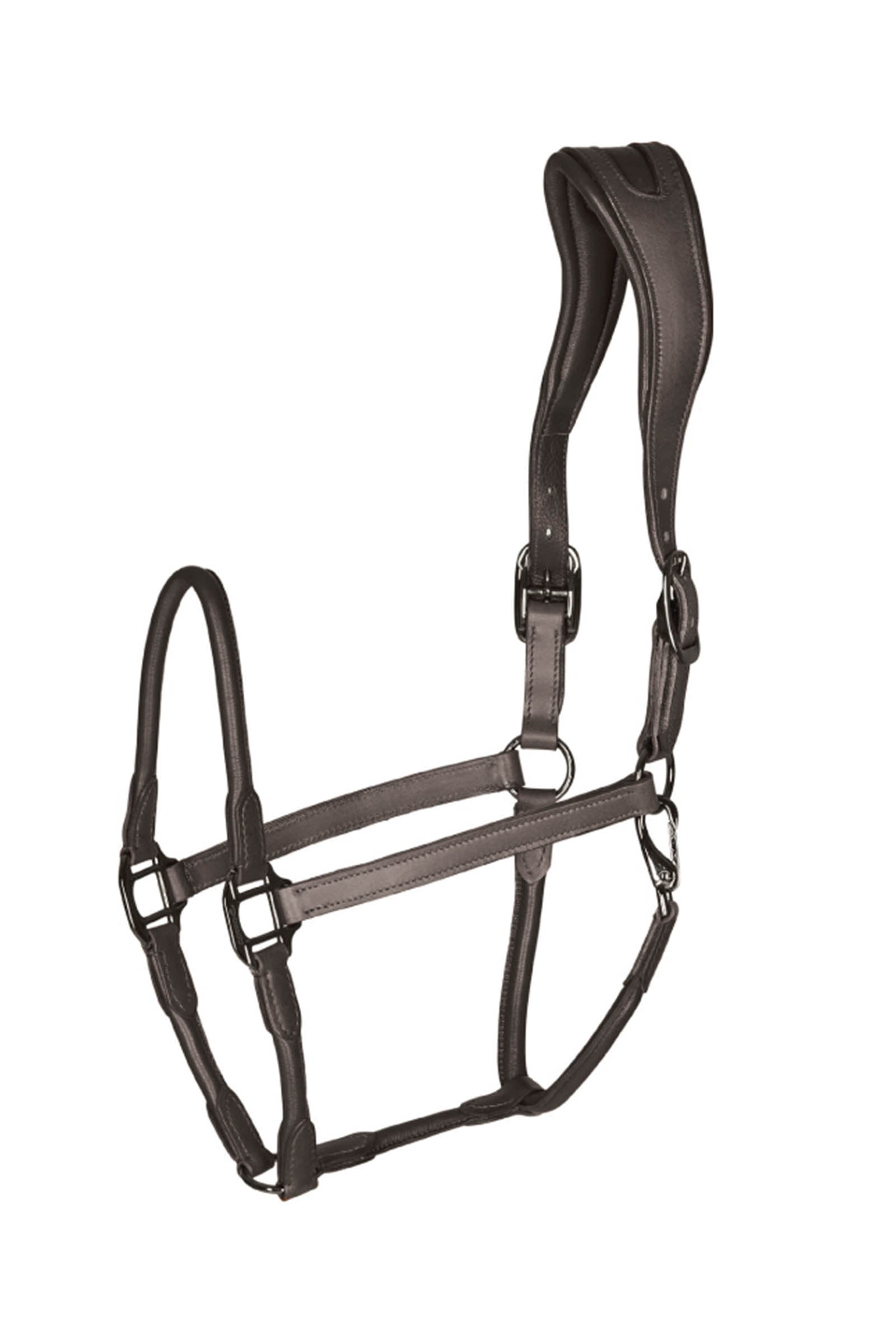 Catago Lederhalfter mit rundgenähtem Nasenband Halfter & Stricke