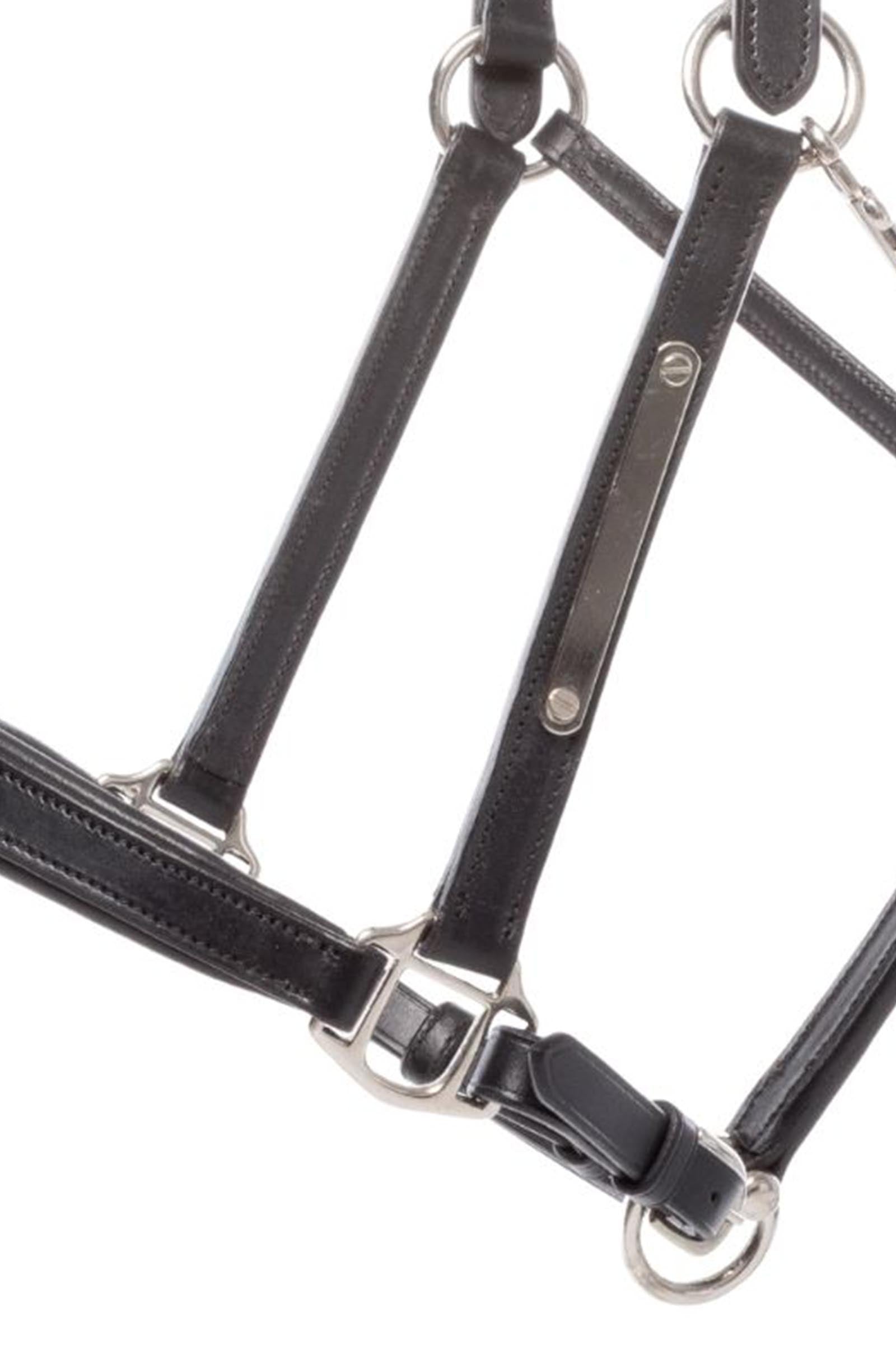Kavalkade Bennet Leather Halter Halters & Leads