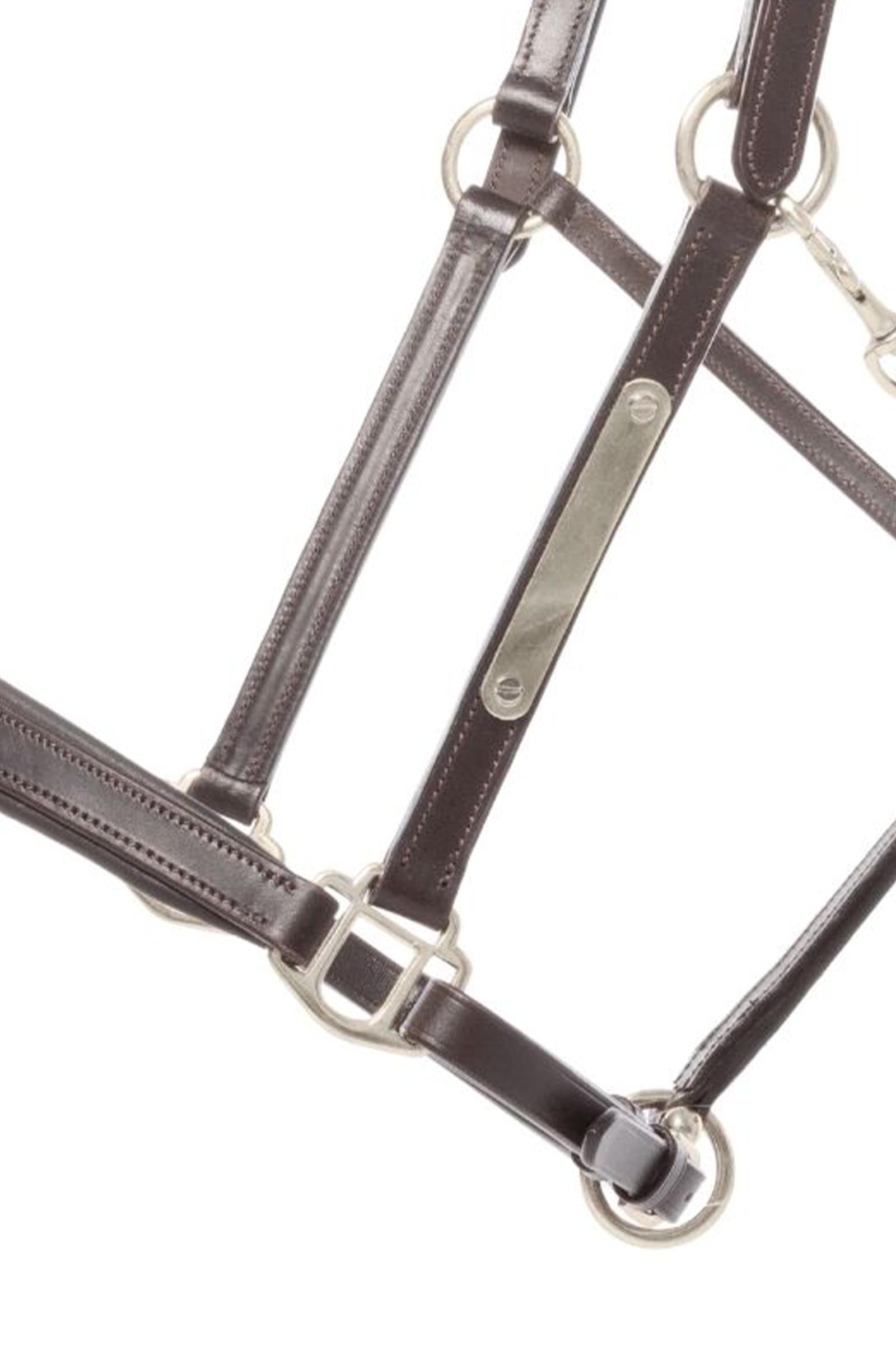 Kavalkade Bennet Leather Halter Halters & Leads